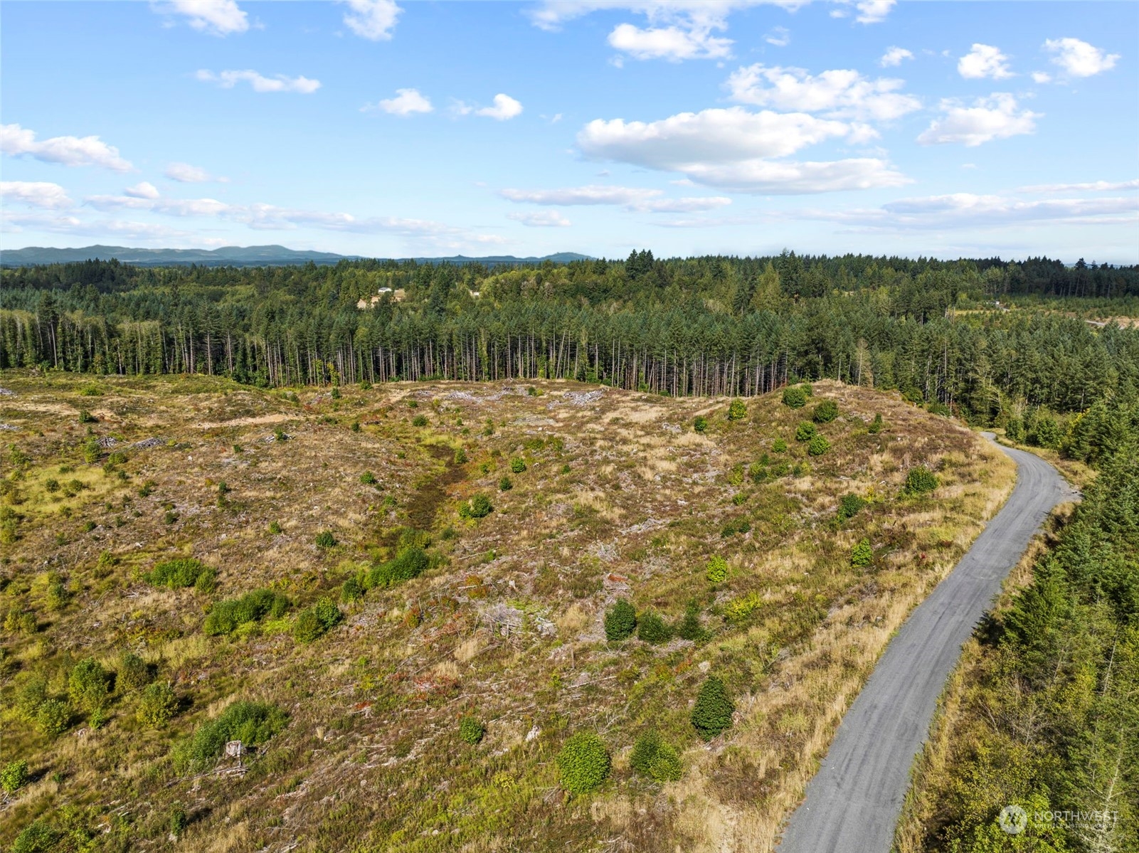 0 Salmon Creek Road, Toledo, Washington, 98591, United States, ,Land,For Sale,0 Salmon Creek Road,1445905
