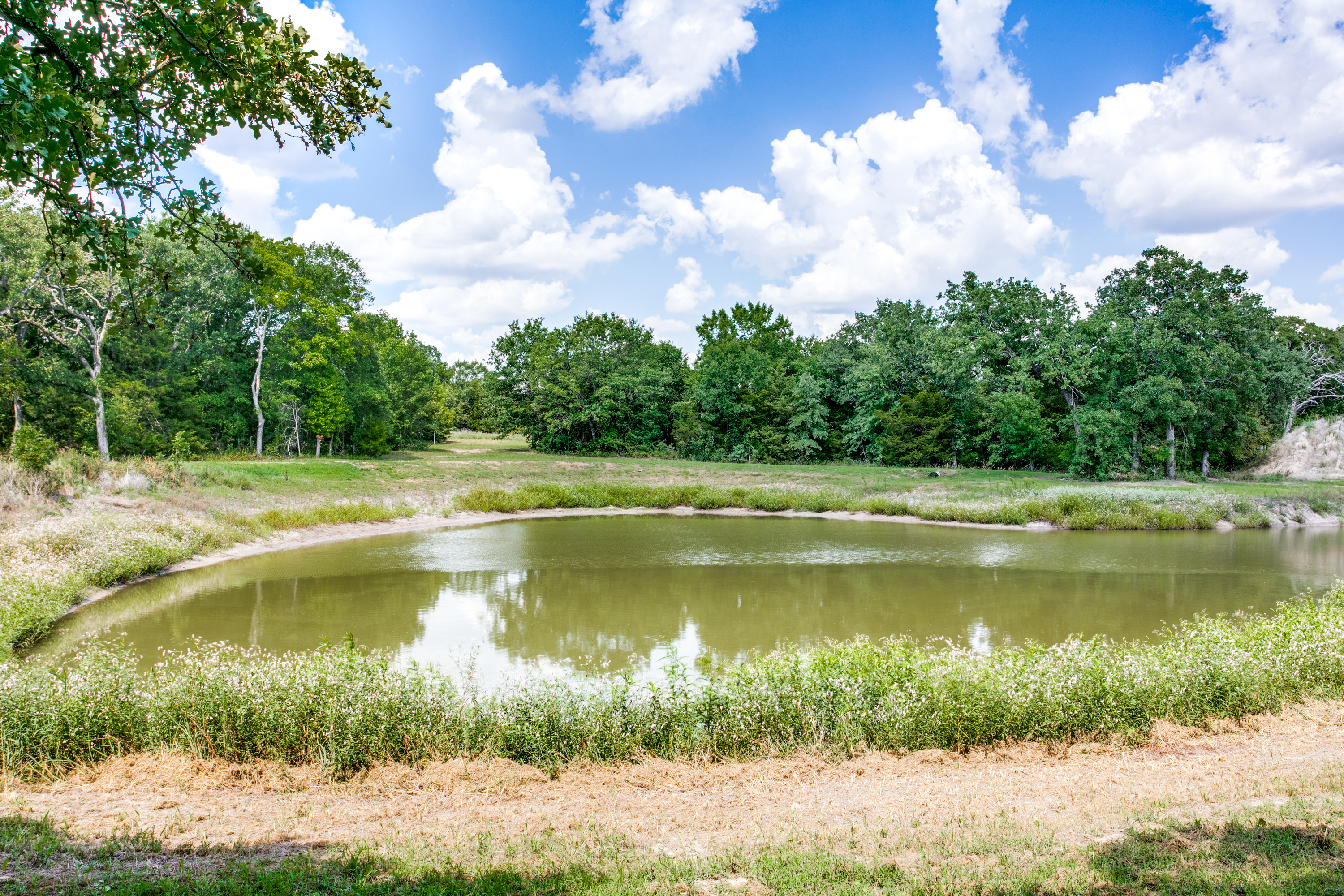 Decatur, Texas, 76234, United States, 4 Bedrooms Bedrooms, ,4 BathroomsBathrooms,Residential,For Sale,1977988