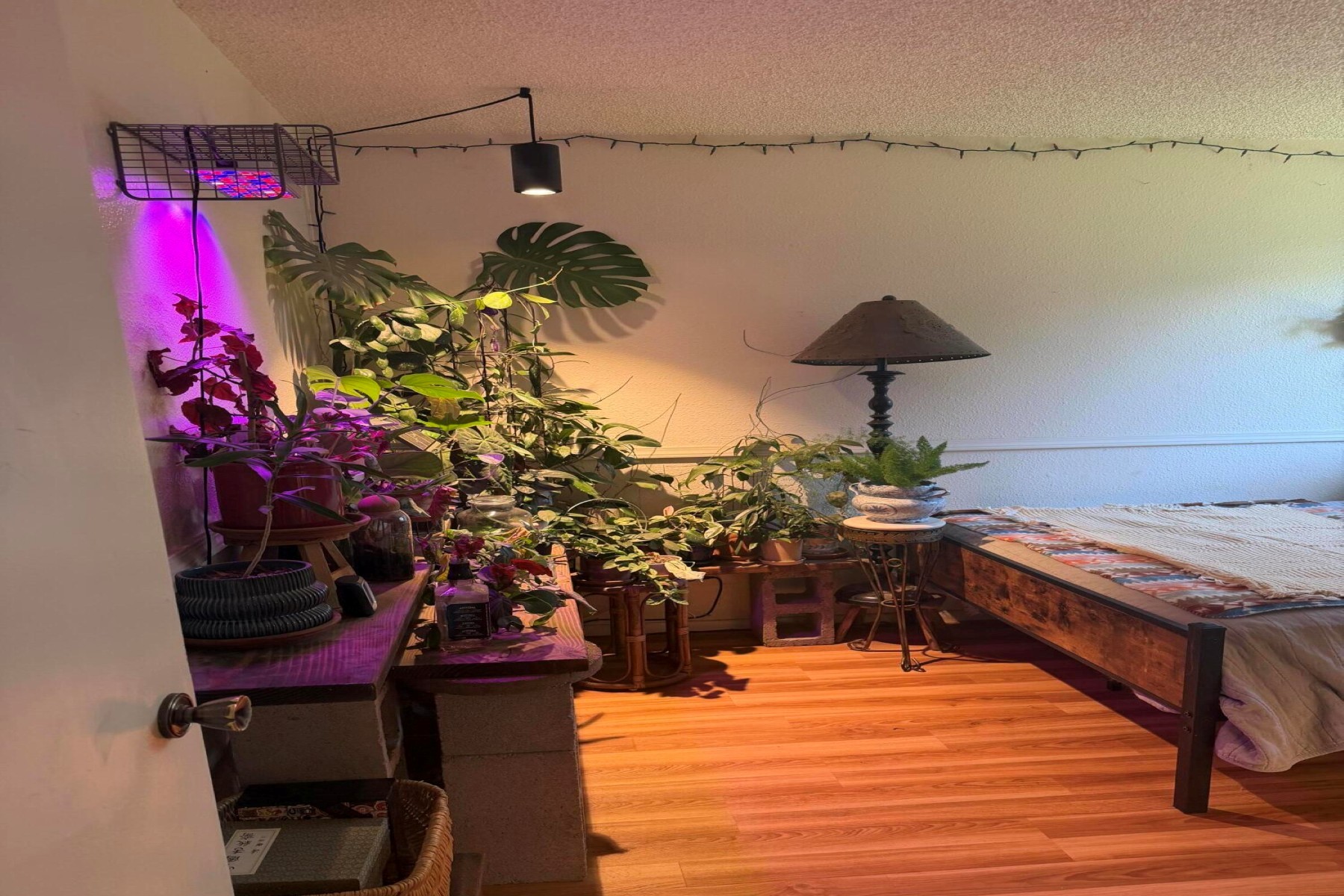  3615 W Mountain Drive¦Flagstaff, AZ - 物件實景