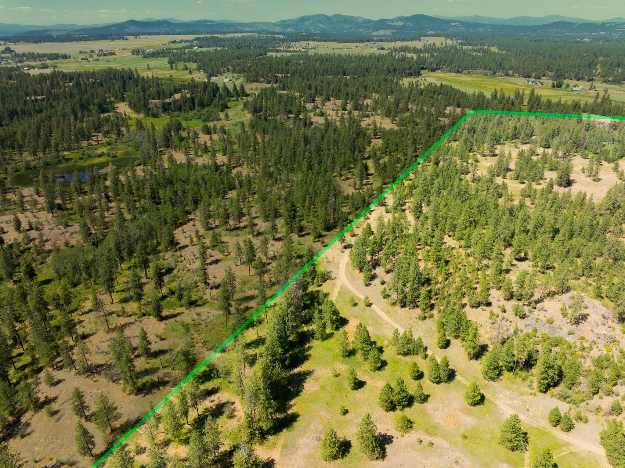 Nine Mile Falls, Washington, 99026, United States, ,Land,For Sale,1960887