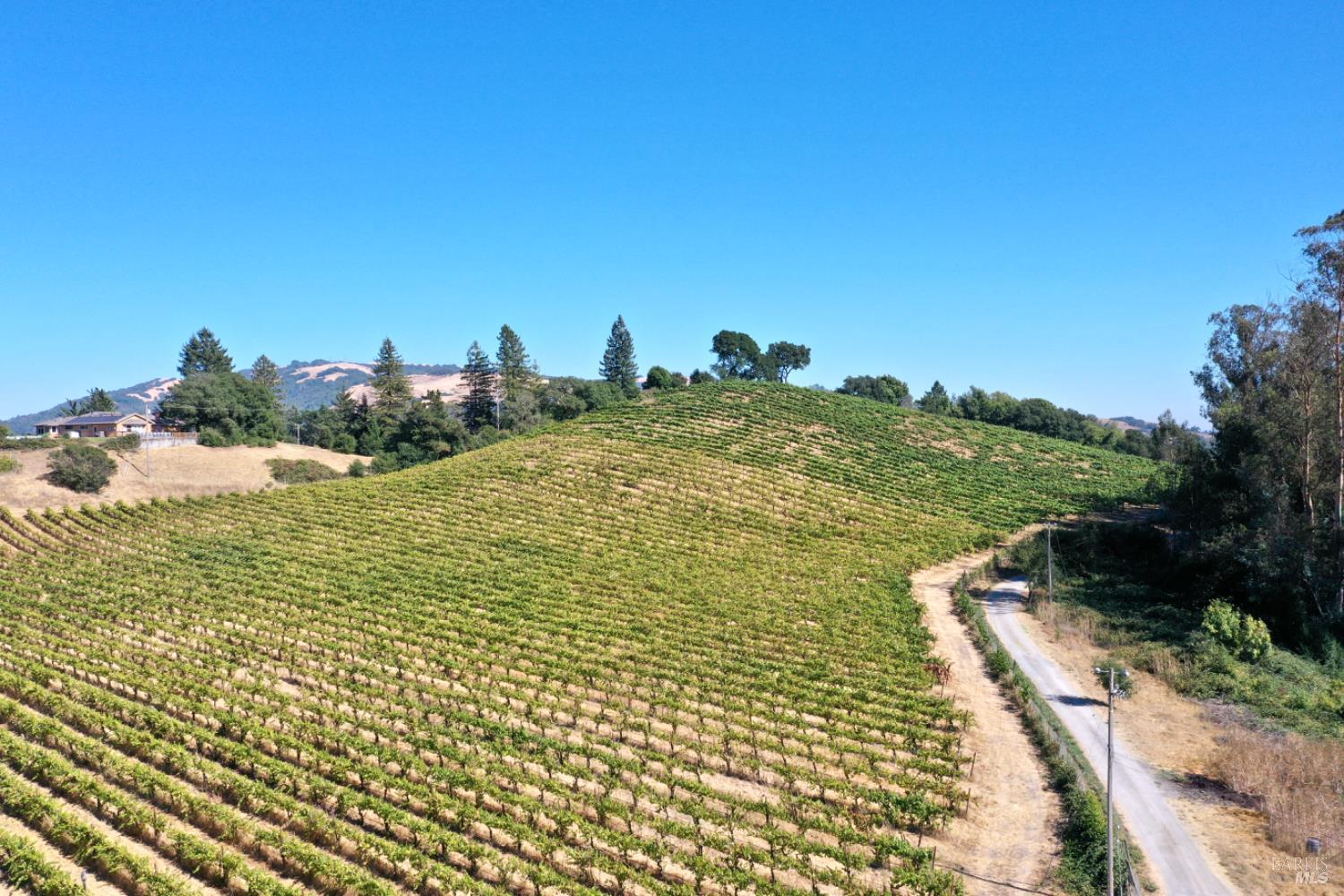 Santa Rosa, California, 95404, United States, 5 Bedrooms Bedrooms, ,4 BathroomsBathrooms,Residential,For Sale,1986461