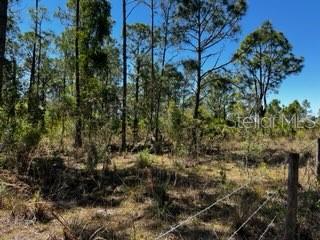 Punta Gorda, Florida, 33982, United States, ,Land,For Sale,1840783