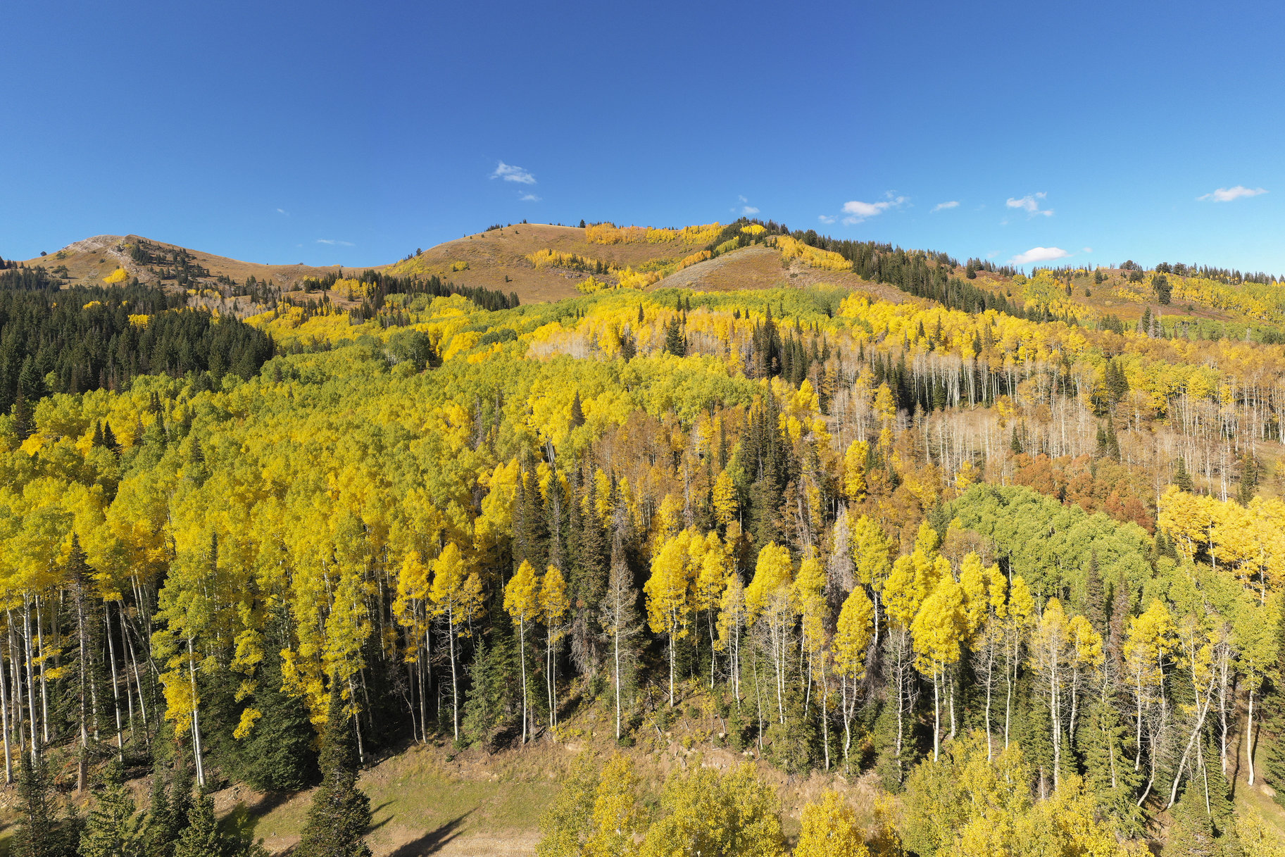  Incredible 28 Acre Estate Lot in the Colony at White Pine Canyon - 物件實景