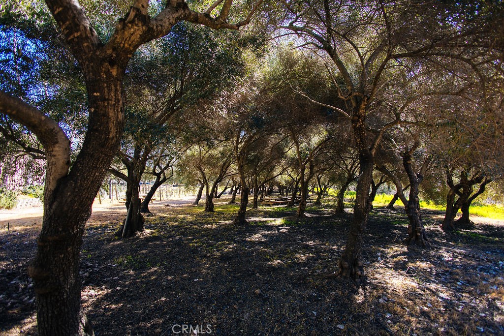 St. Helena, California, 94574, United States, ,Residential,For Sale,1737309