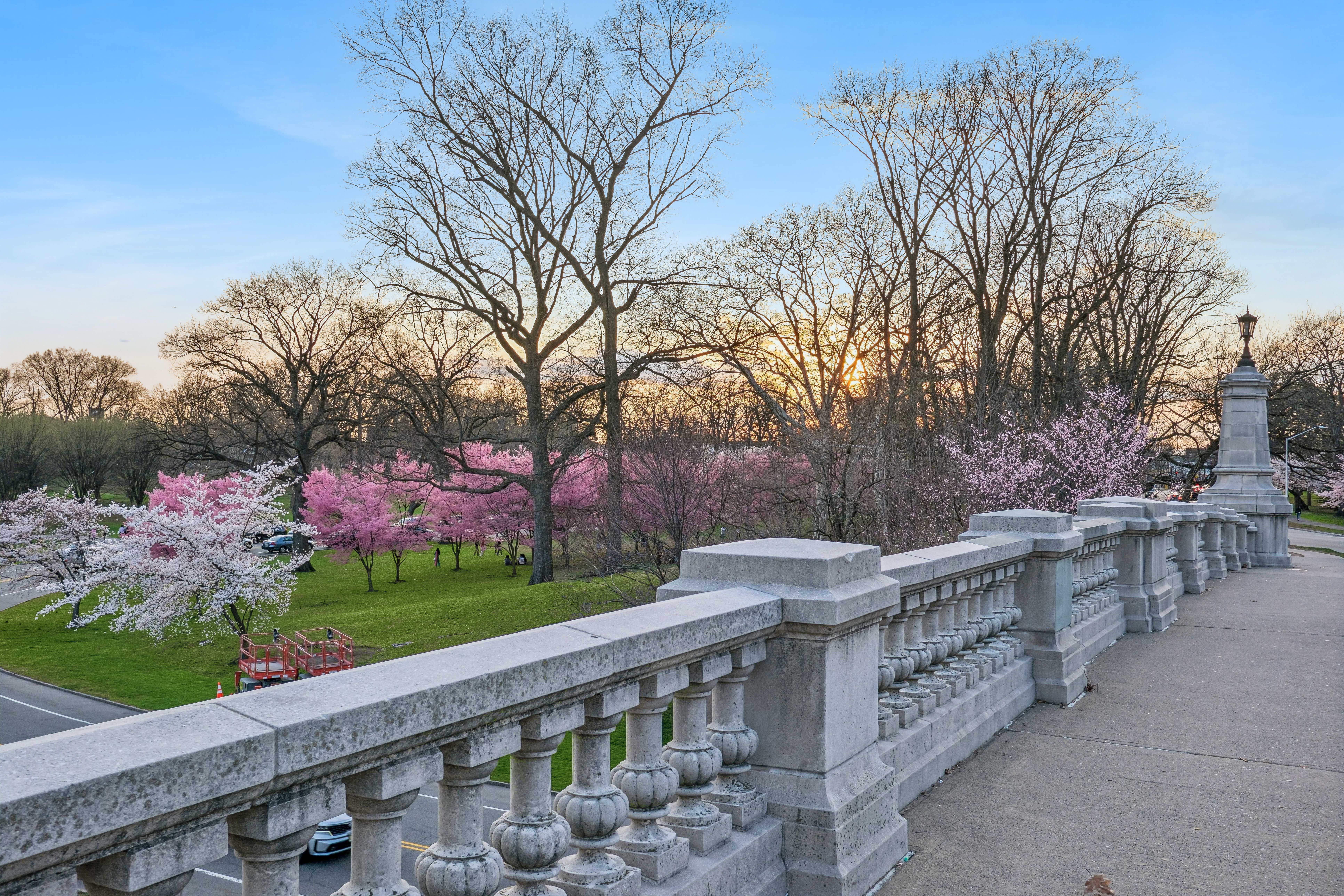  363-377 Mount Prospect Avenue, Newark, NJ 07104 - 物件實景