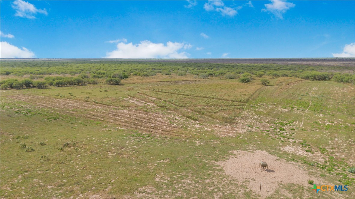 Tivoli, Texas, 77990, United States, ,Land,For Sale,1996181