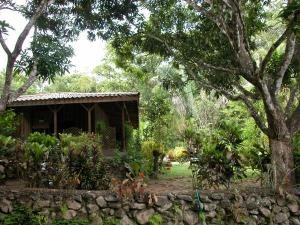 Vainilla Pochote Tambor, Tambor, Puntarenas, CR, ,Land,For Sale,Vainilla Pochote Tambor,1616133