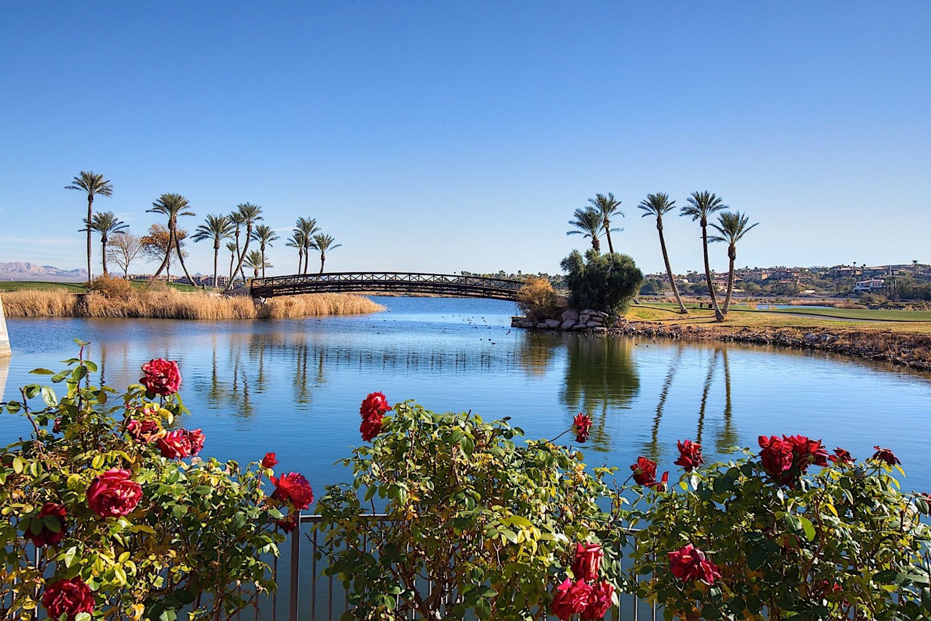  Located on Lake Las Vegas