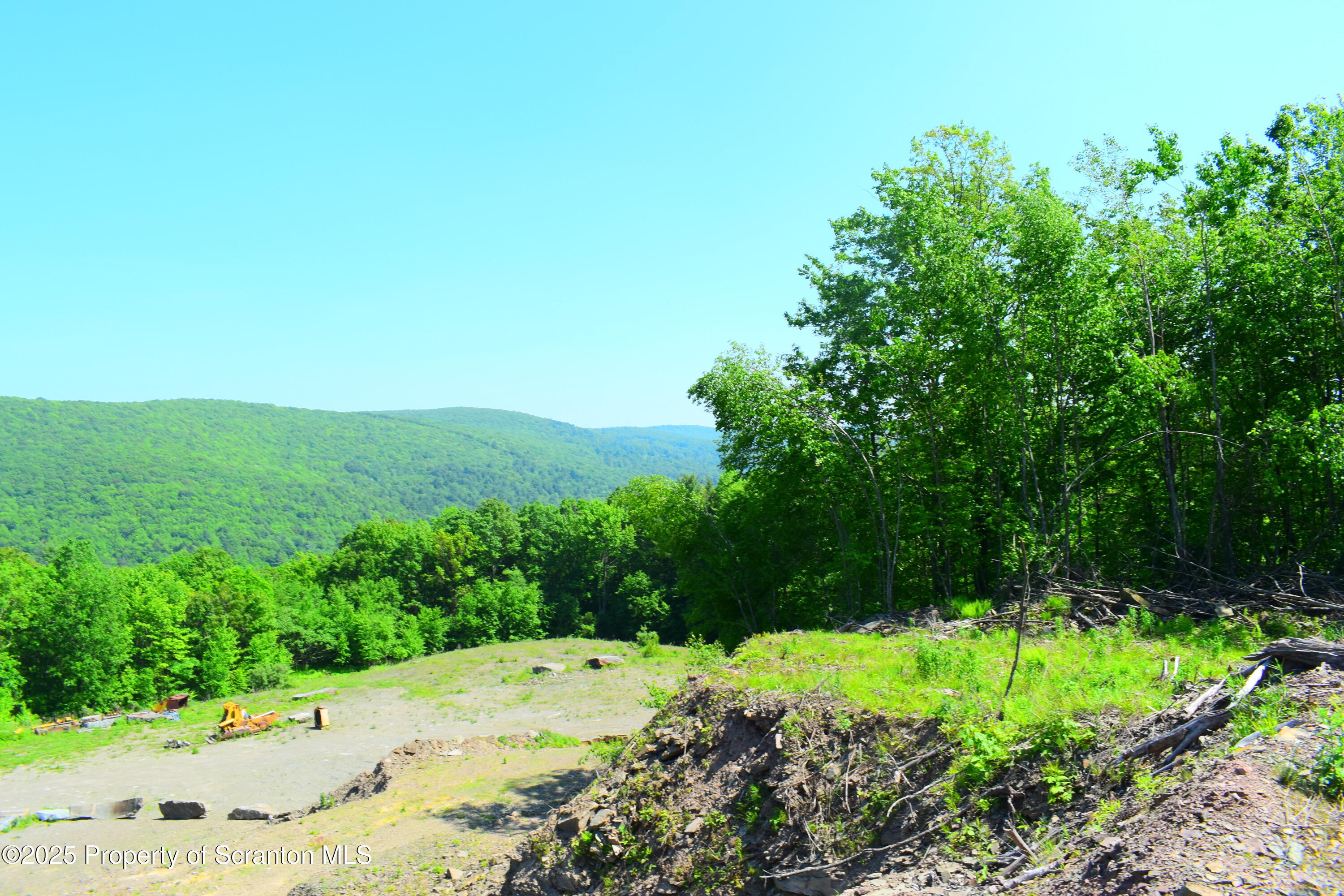 State Route 92, Susquehanna, Pennsylvania, 18847, United States, ,Land,For Sale,State Route 92,1665959