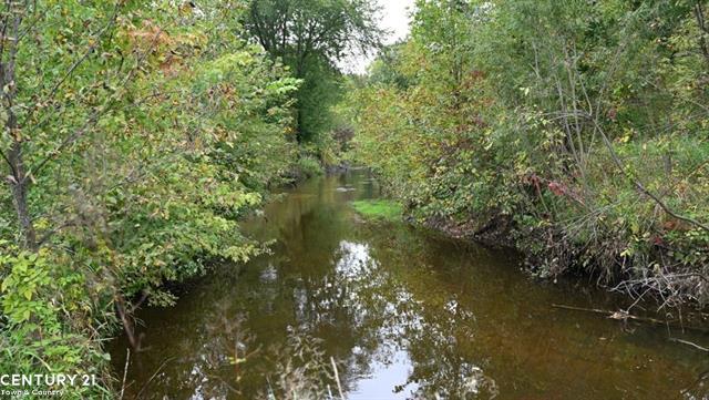 Bennington Twp., Michigan, 48857, United States, ,Residential,For Sale,1755806