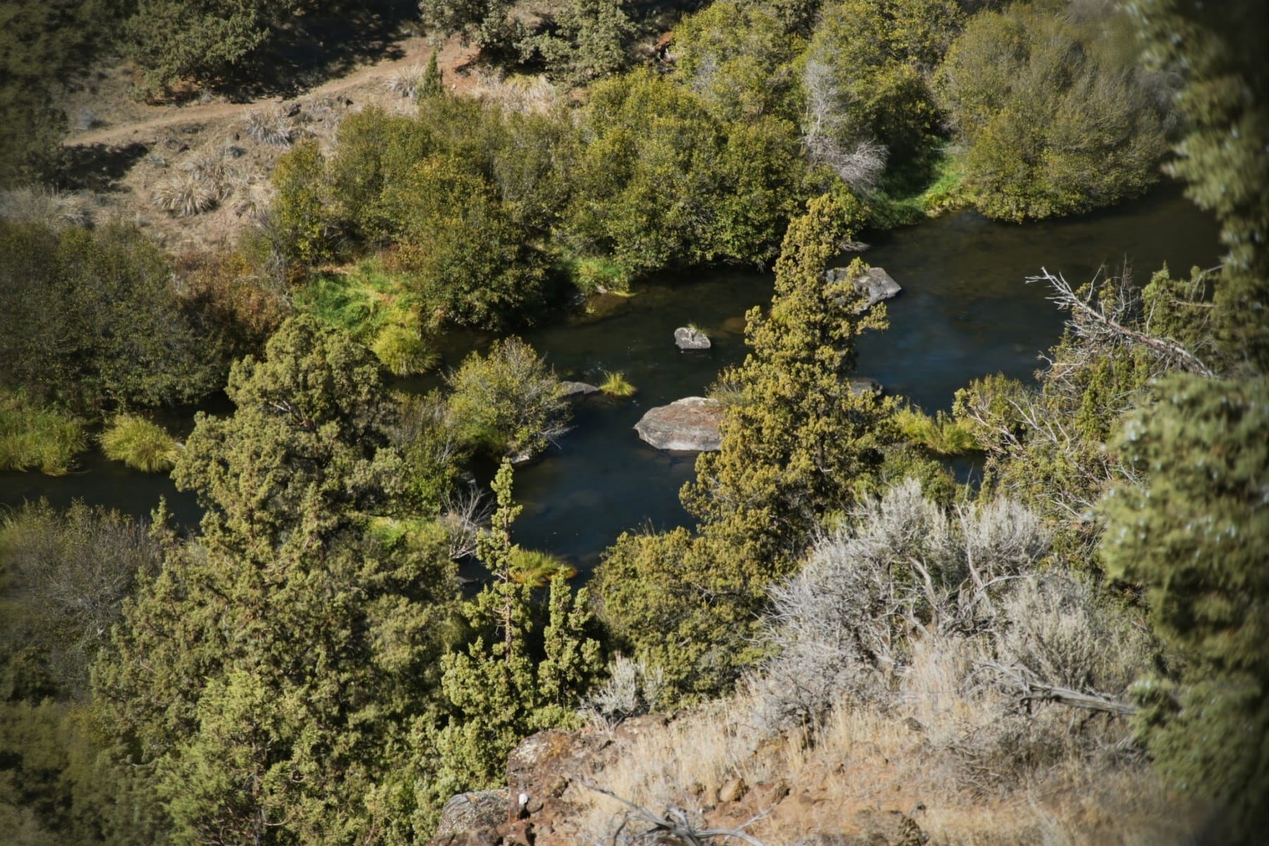  4655 SW Loma Linda Drive Redmond, OR 97756 - 物件實景