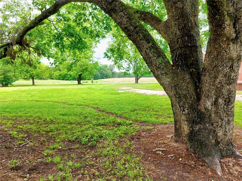 Belton, South Carolina, 29627, United States, ,Land,For Sale,1849794