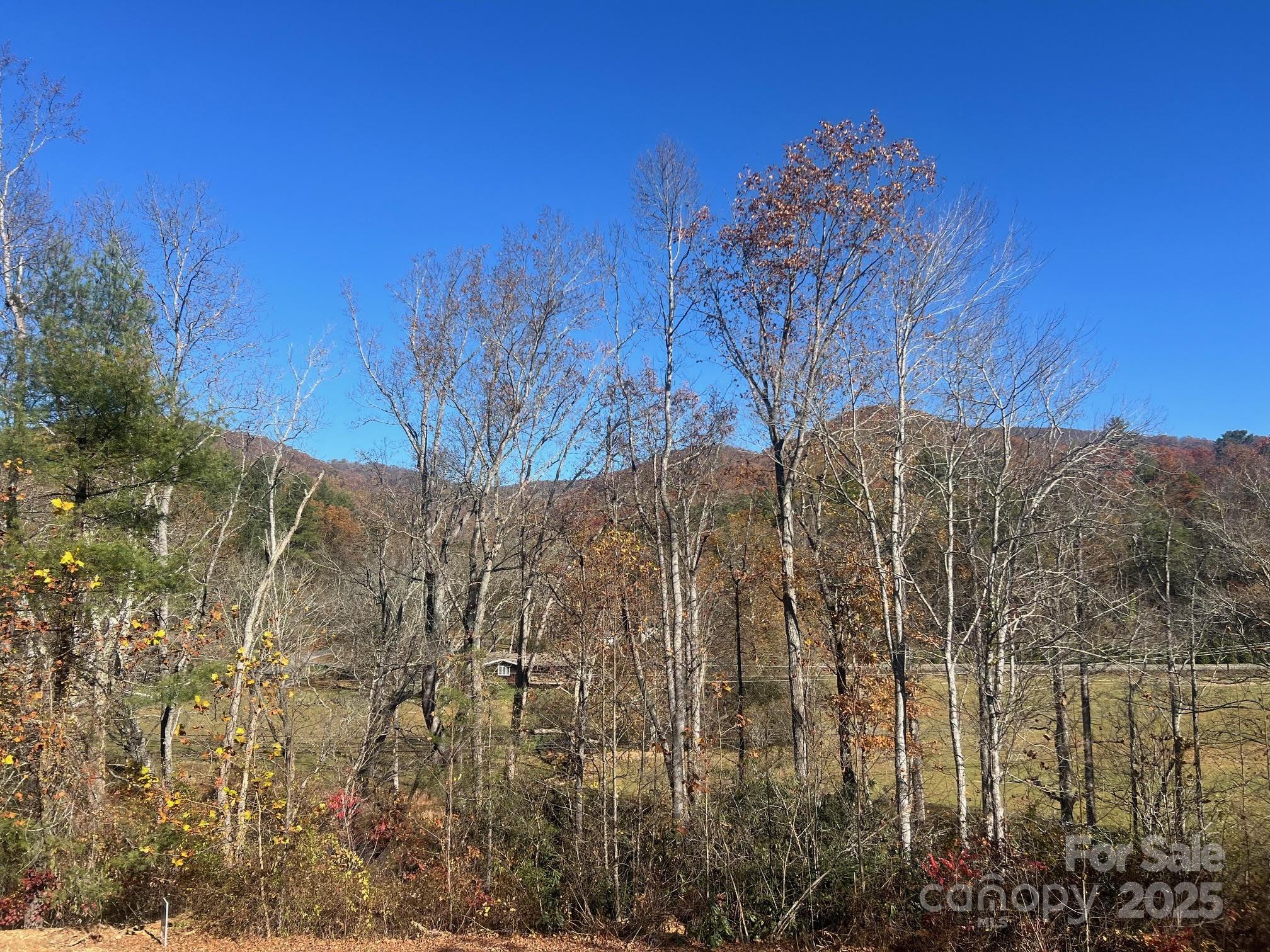 Fairview, North Carolina, 28730, United States, 3 Bedrooms Bedrooms, ,2 BathroomsBathrooms,Residential,For Sale,1991257