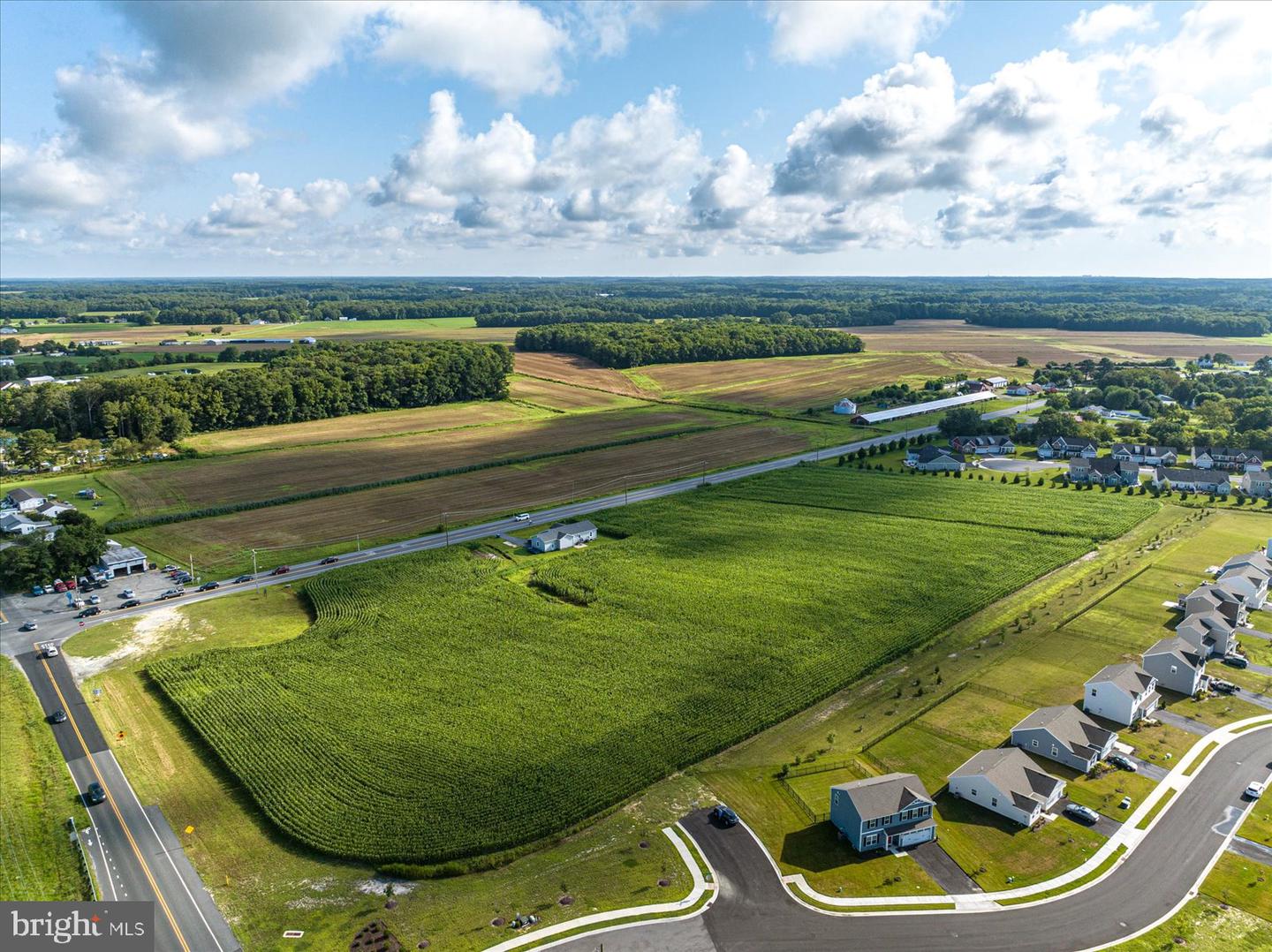 32474 Lighthouse Road, Selbyville, Delaware, 19975, United States, ,Land,For Sale,32474 Lighthouse Road,1613559