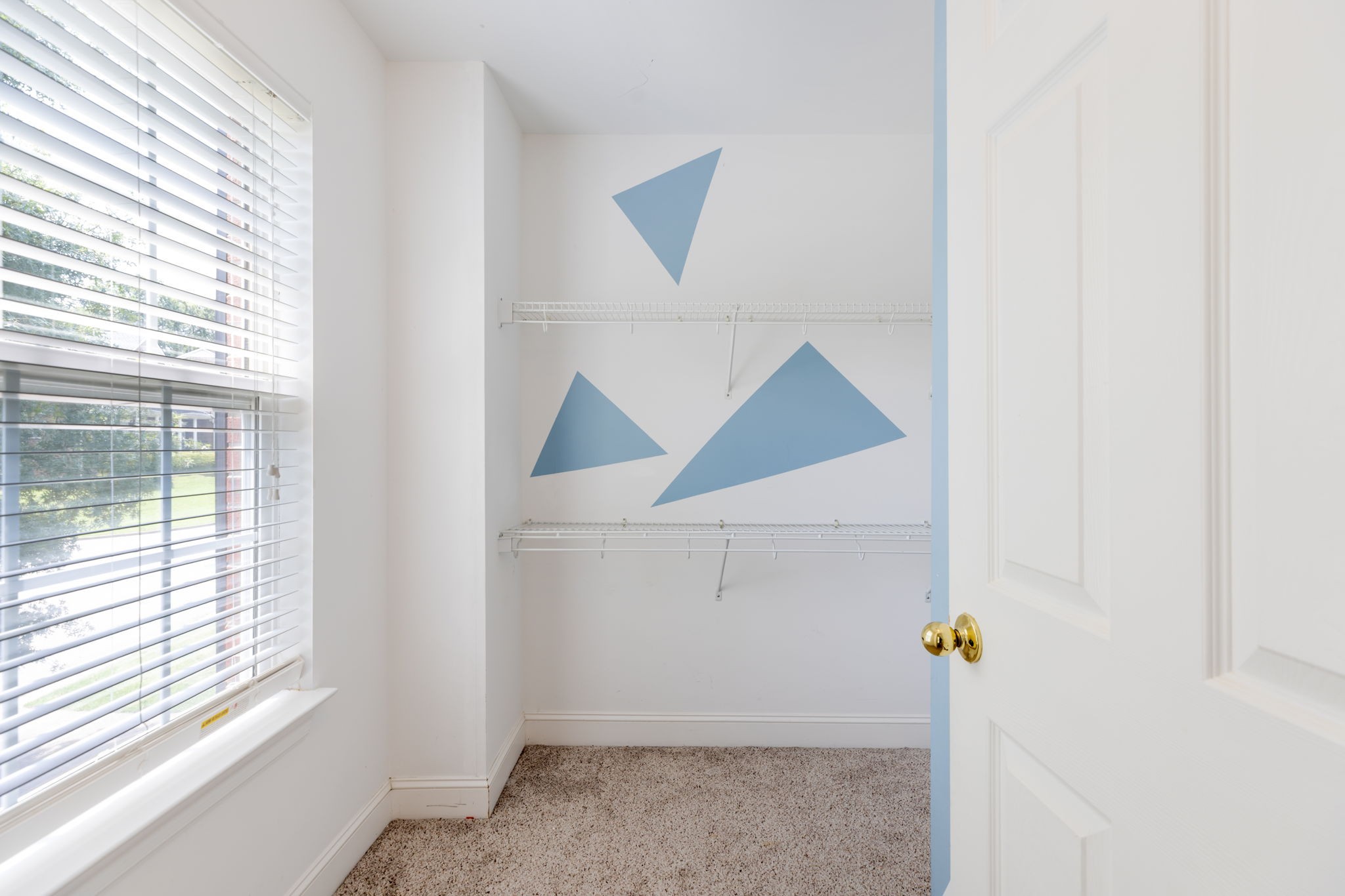  1247 Wheatley Forest Dr, Brentwood, TN, 37027 - 物件實景