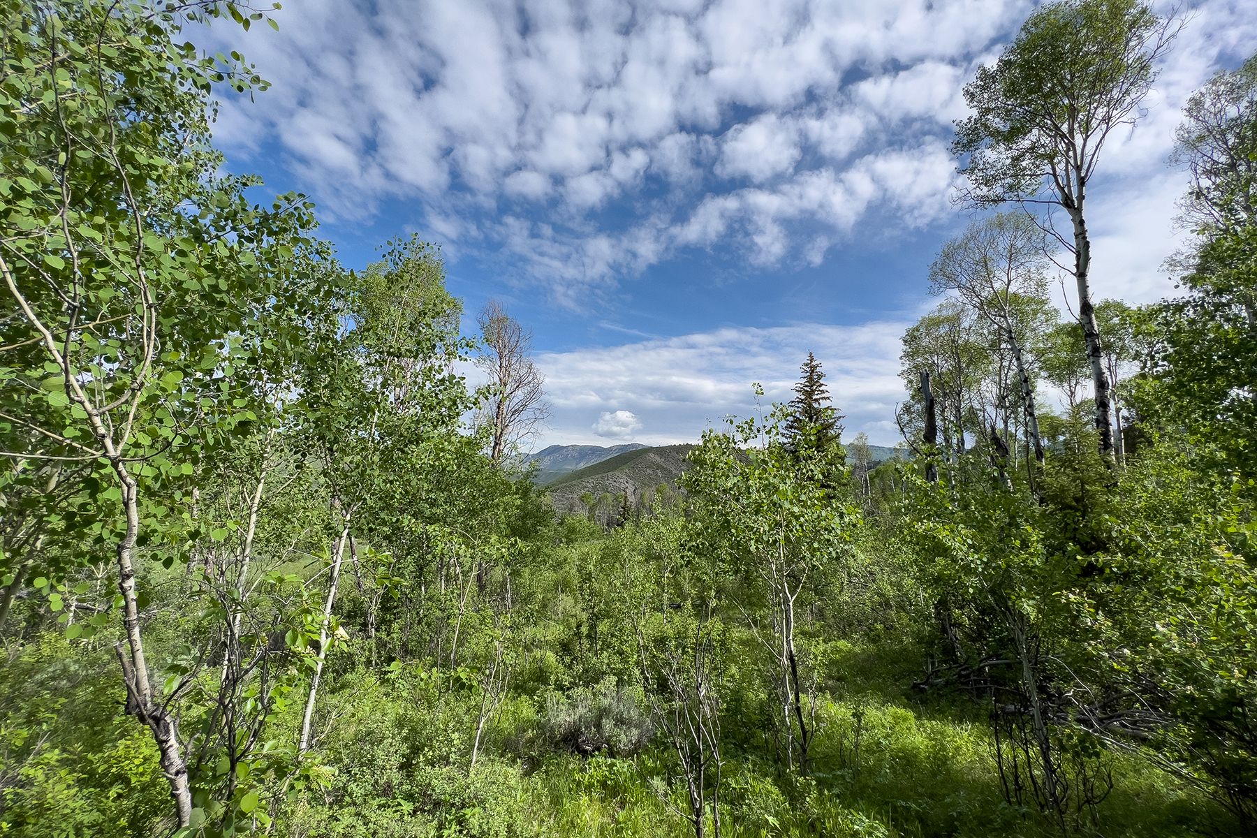  Rodeo Road - 物件實景