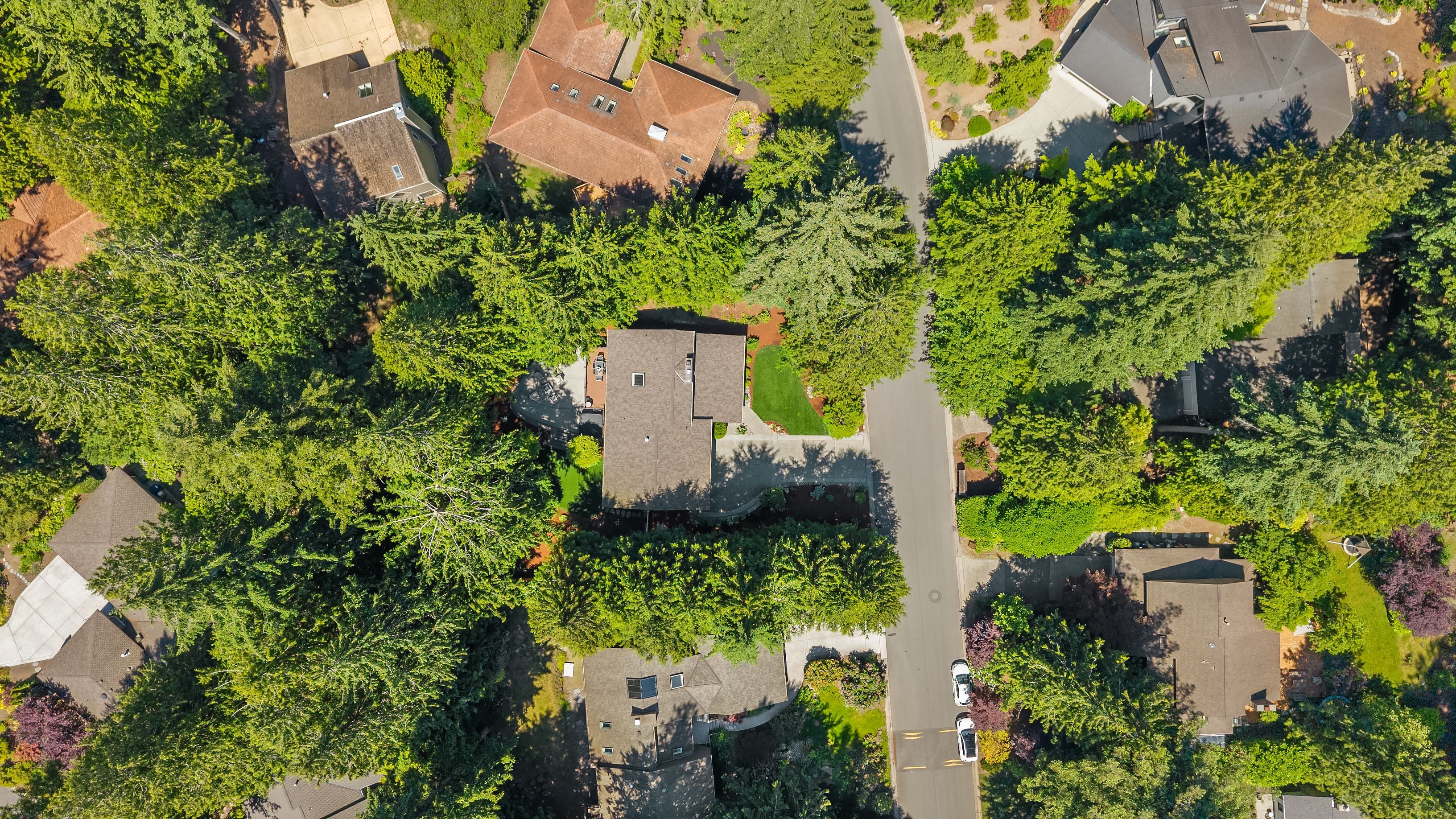  3415 211th Ave NE, Sammamish, WA 98074 - 物件實景