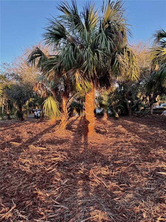 Ormond Beach, Florida, 32176, United States, ,Land,For Sale,1743794