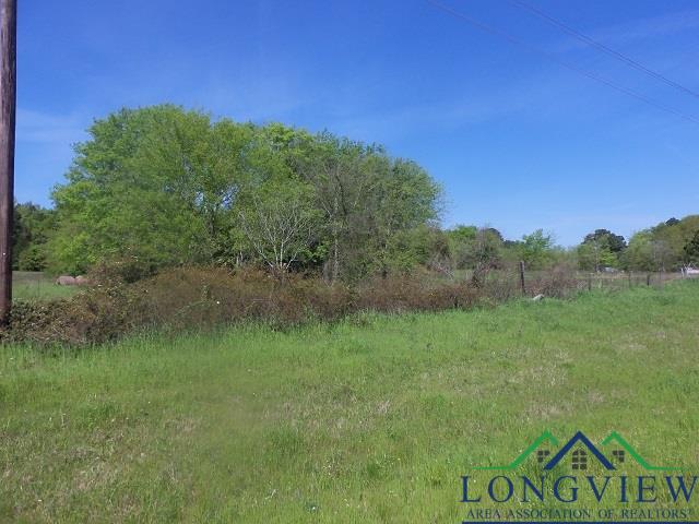 TBD U.S. HWY. 259 N., Kilgore, Texas, 75662, United States, ,Land,For Sale,TBD U.S. HWY. 259 N.,1542568