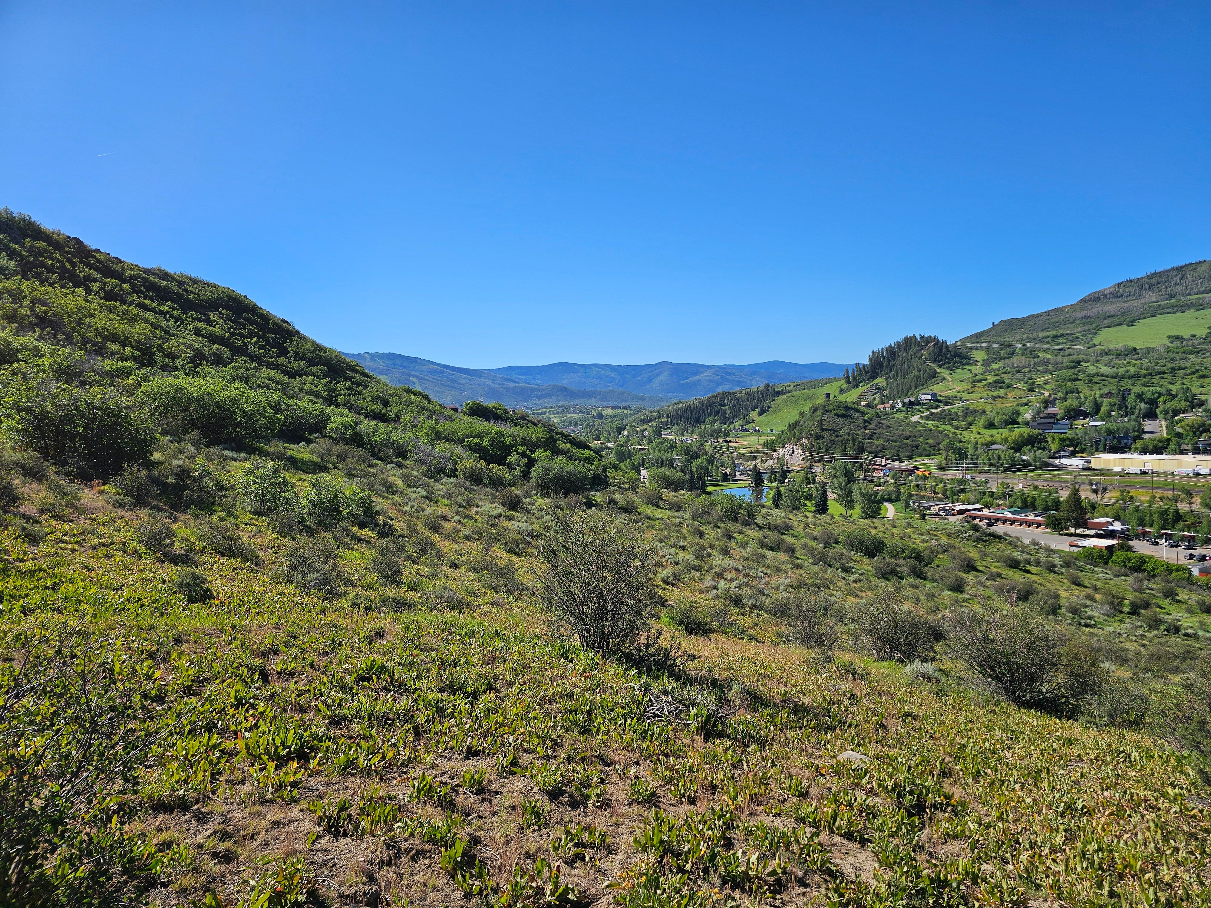  1327 Indian Trail, Steamboat Springs, CO, 80487 - 物件實景