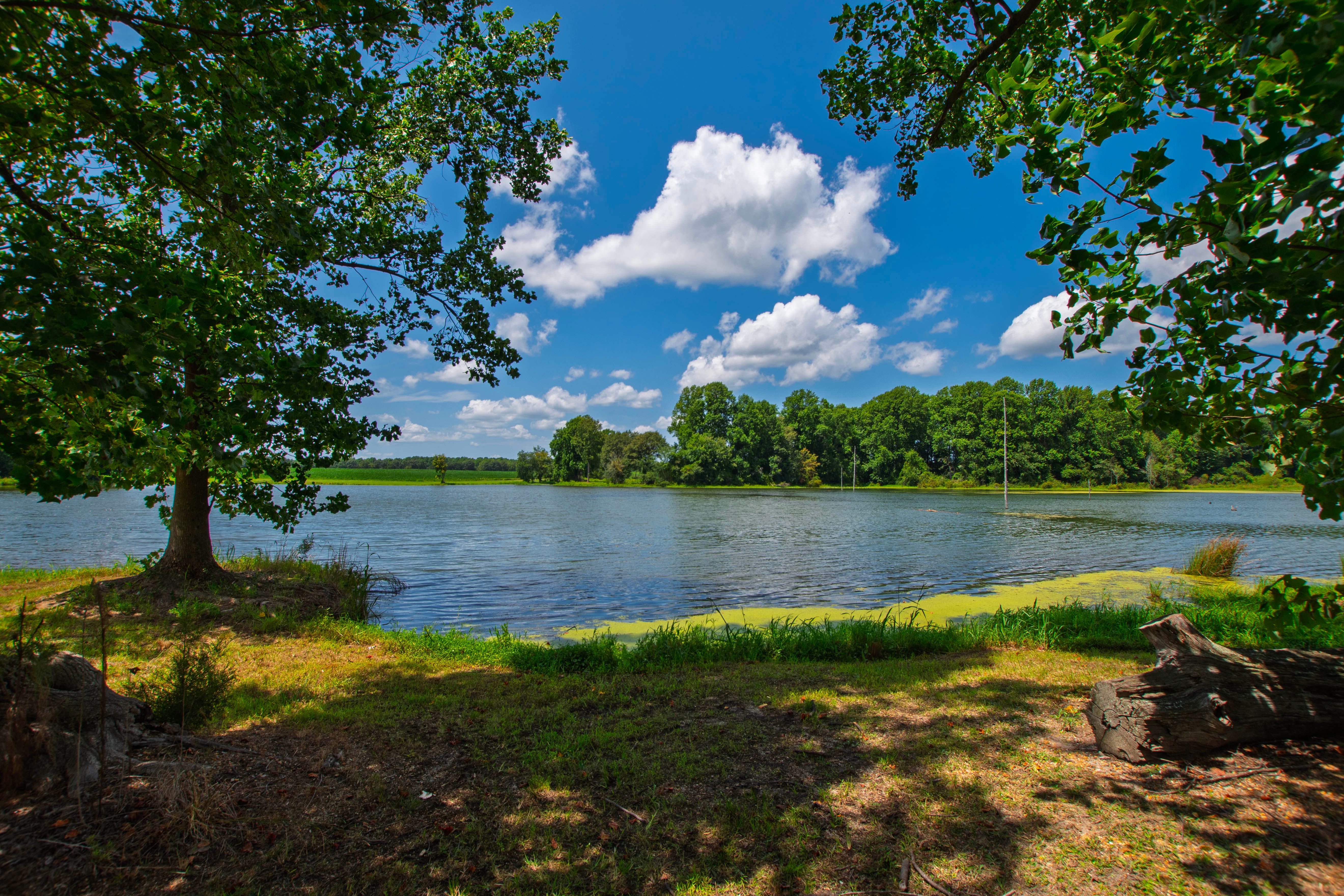  2725 Benson Hardee Road, Benson, NC 27504 - 物件實景