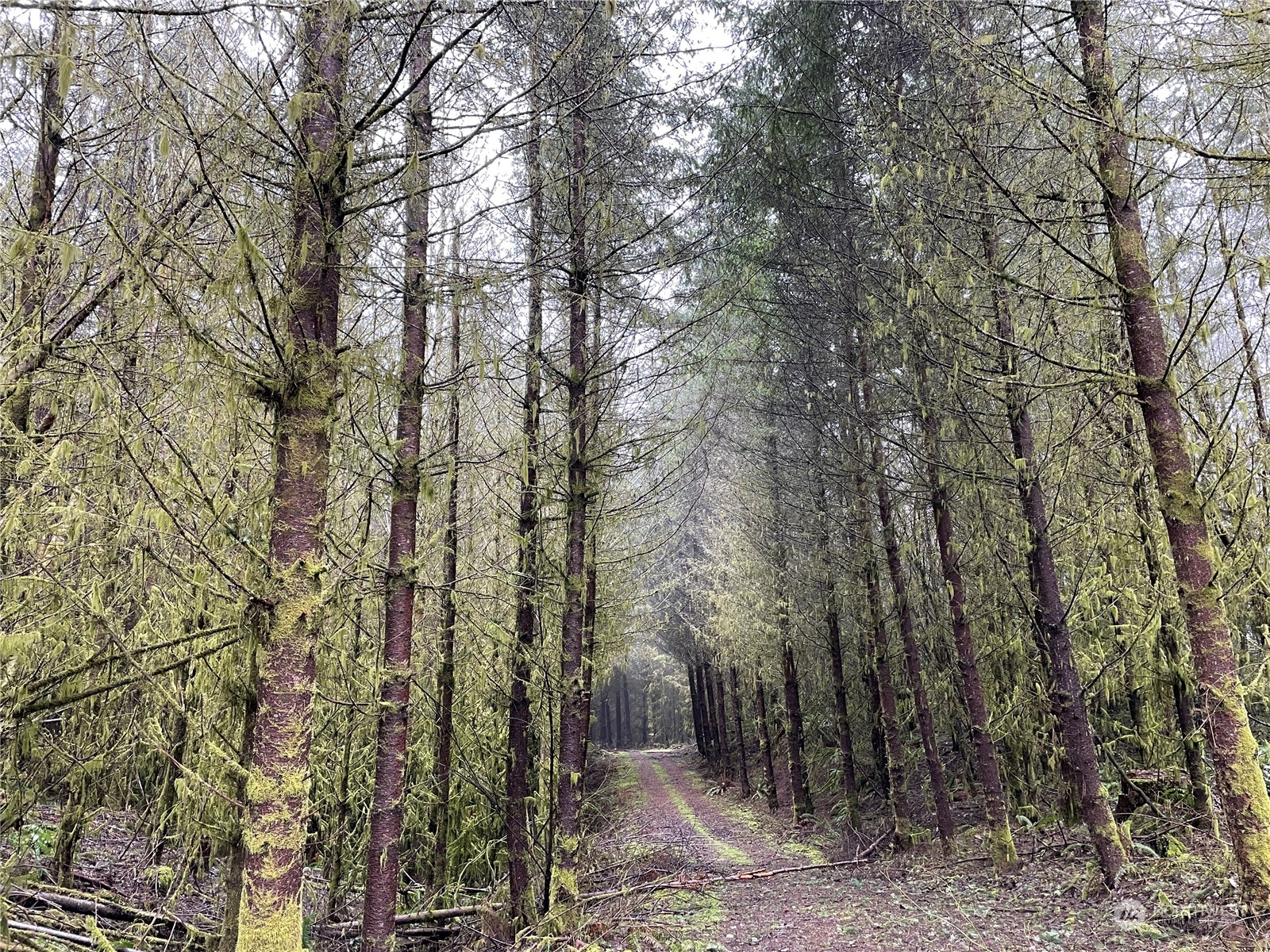 0 Fallert Road, Kalama, Washington, 98625, United States, ,Land,For Sale,0 Fallert Road,1273199