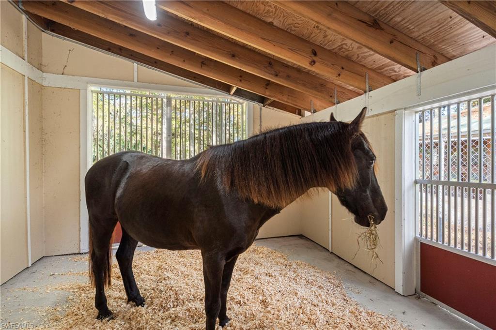 Naples, Florida, 34116, United States, 6 Bedrooms Bedrooms, ,9 BathroomsBathrooms,Residential,For Sale,2000525