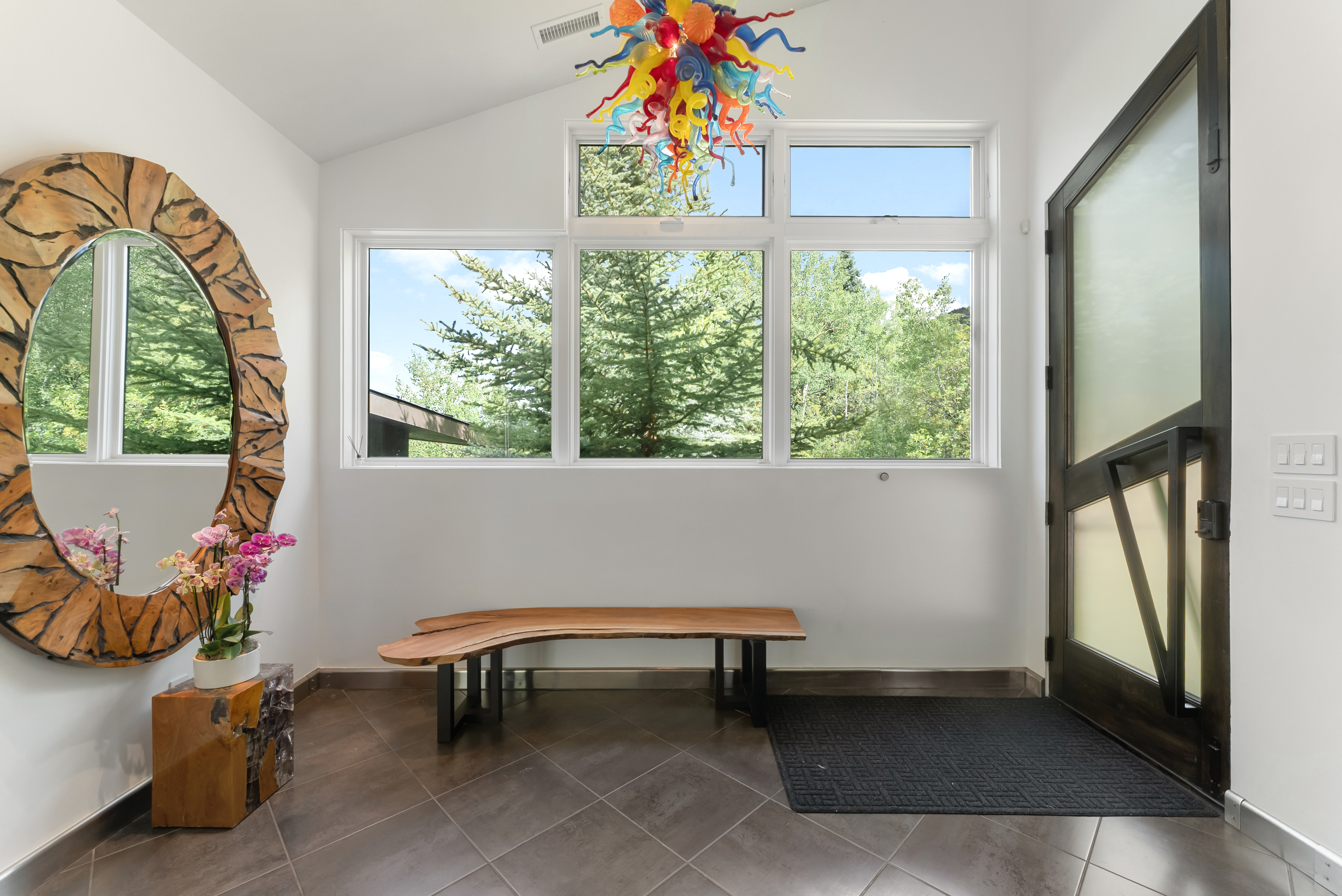  257 Mountain Laurel Drive, Aspen, CO, 81611 - 物件實景
