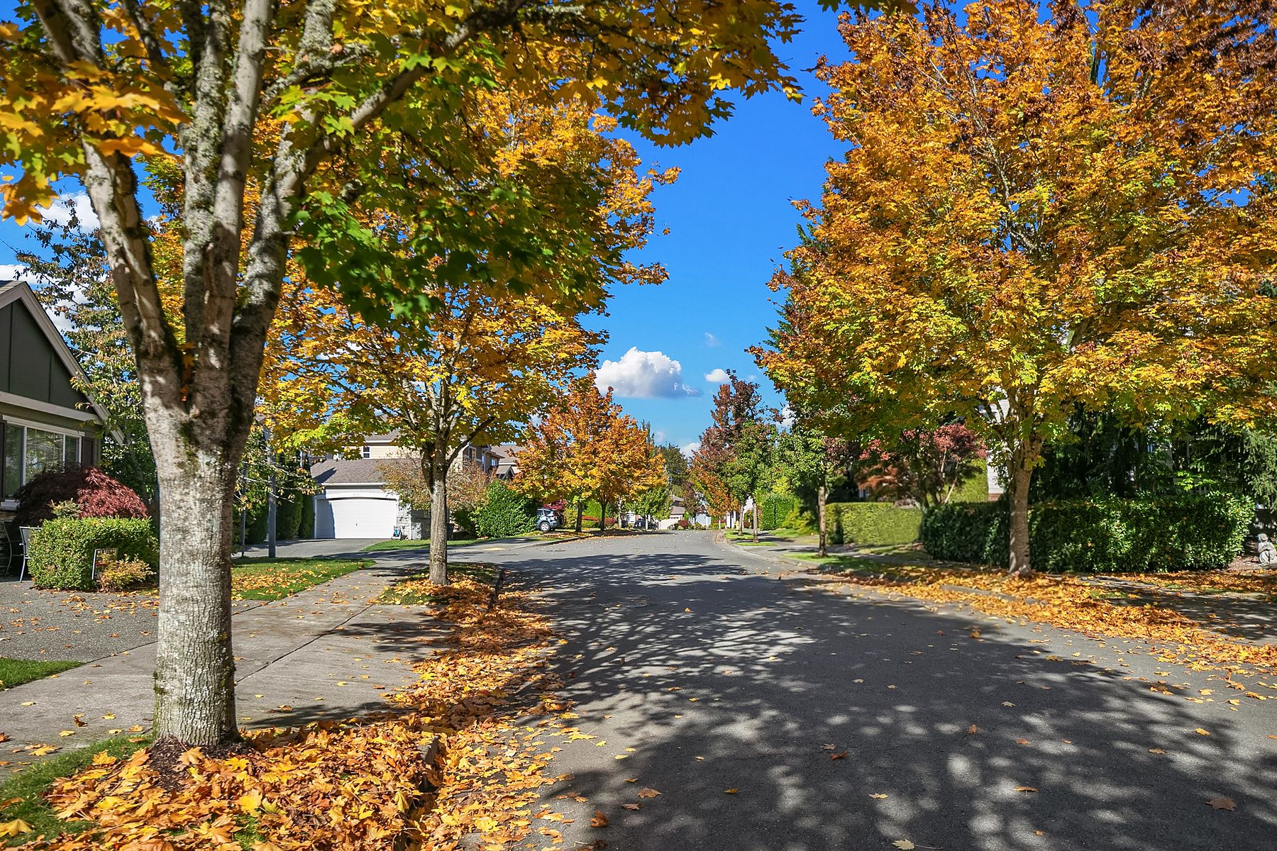  11929 179th Place NE, Redmond, WA 98052 - 物件實景