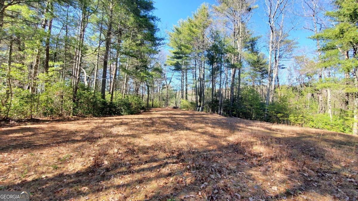 Cherry Log, Georgia, 30522, United States, ,Land,For Sale,1859131