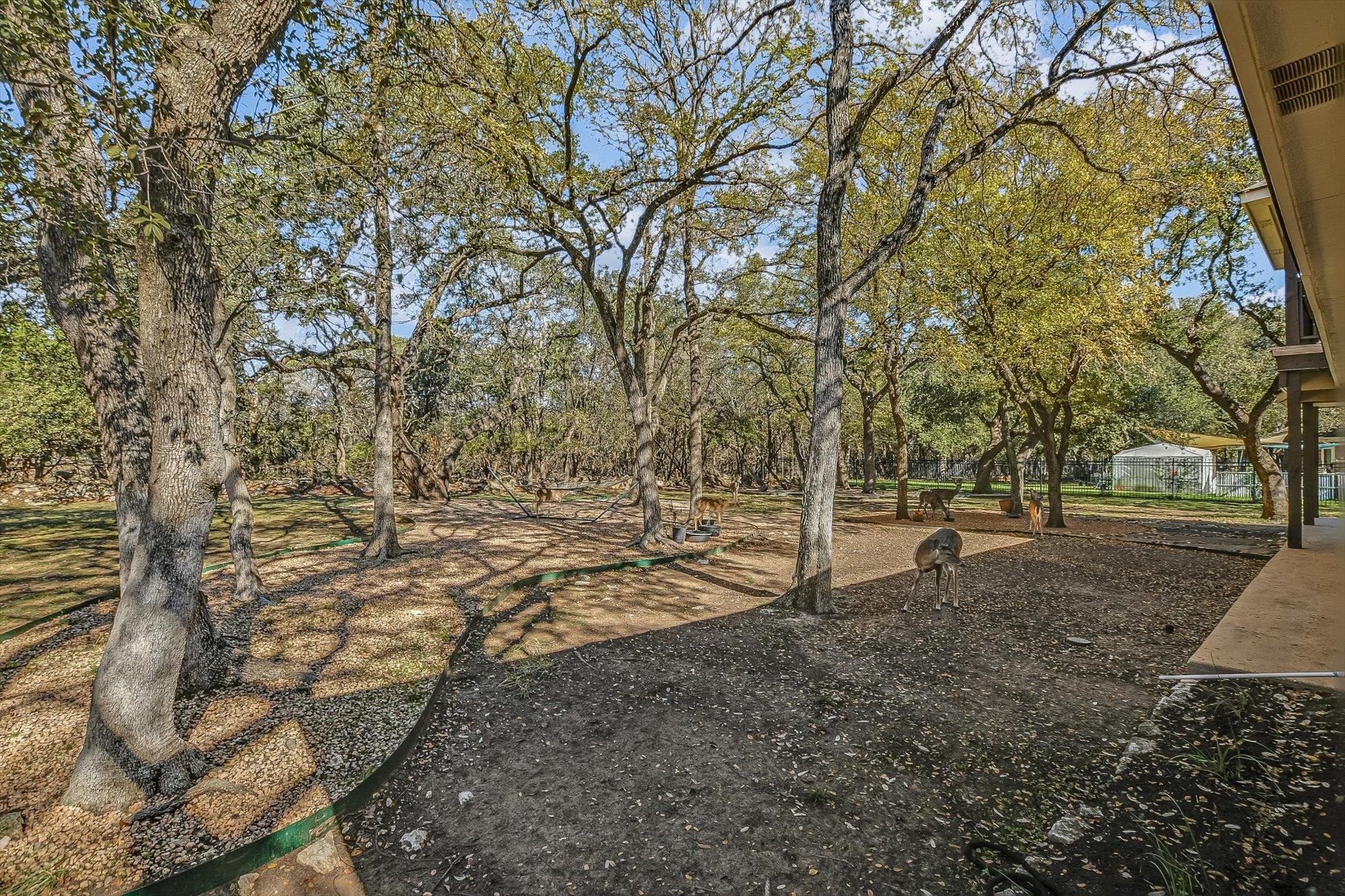 Georgetown, Texas, 78628, United States, 4 Bedrooms Bedrooms, ,4 BathroomsBathrooms,Residential,For Sale,2005701