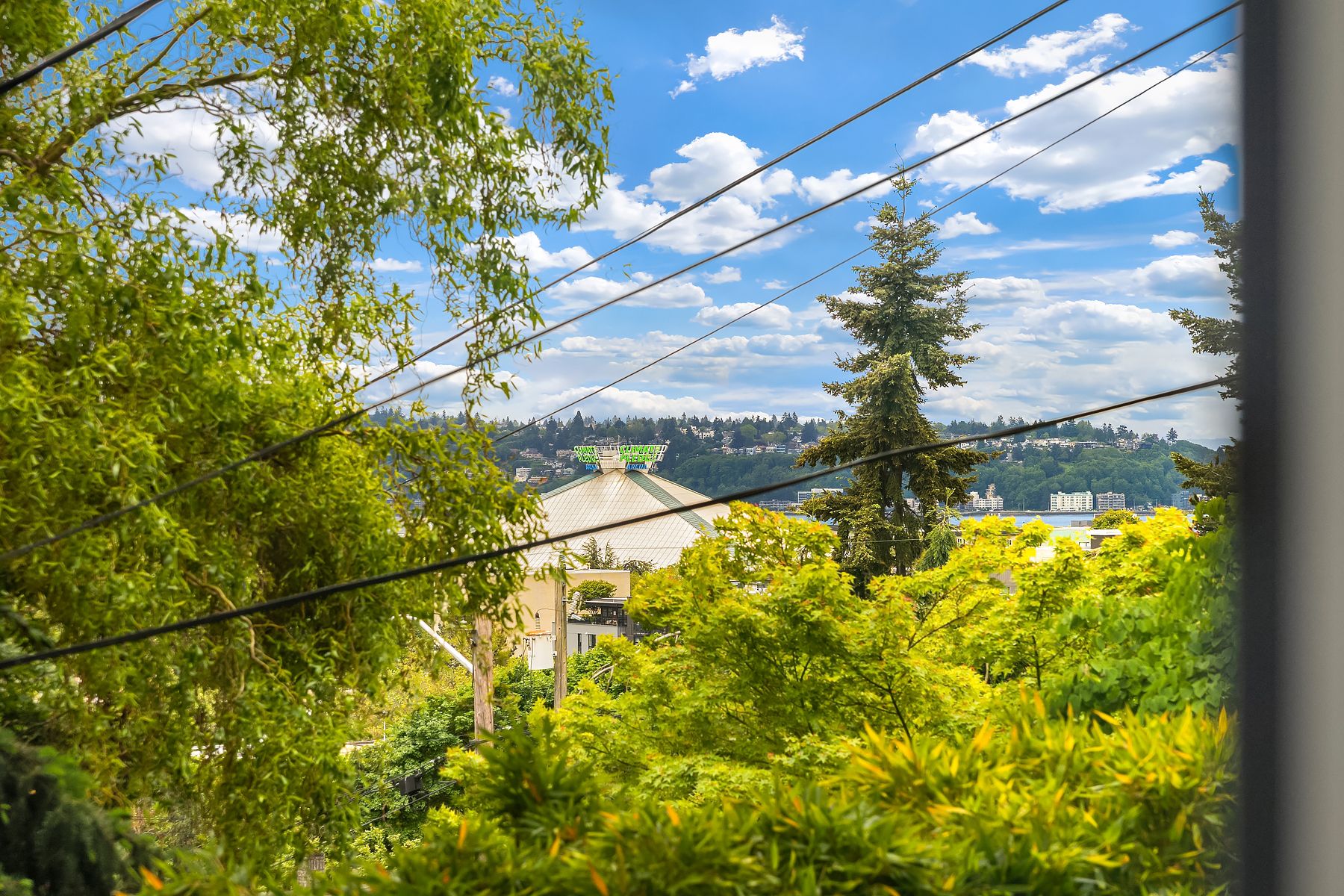  1014 4th Ave N, Seattle, WA 98109 - 物件實景