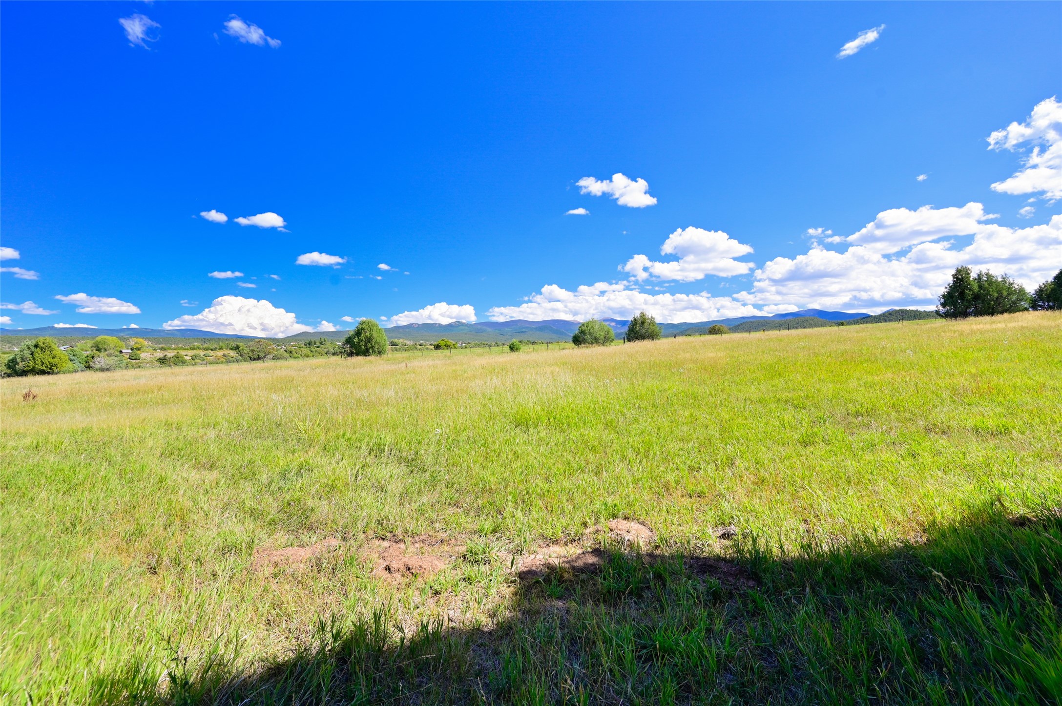  157 Pacheco Road - 物件實景