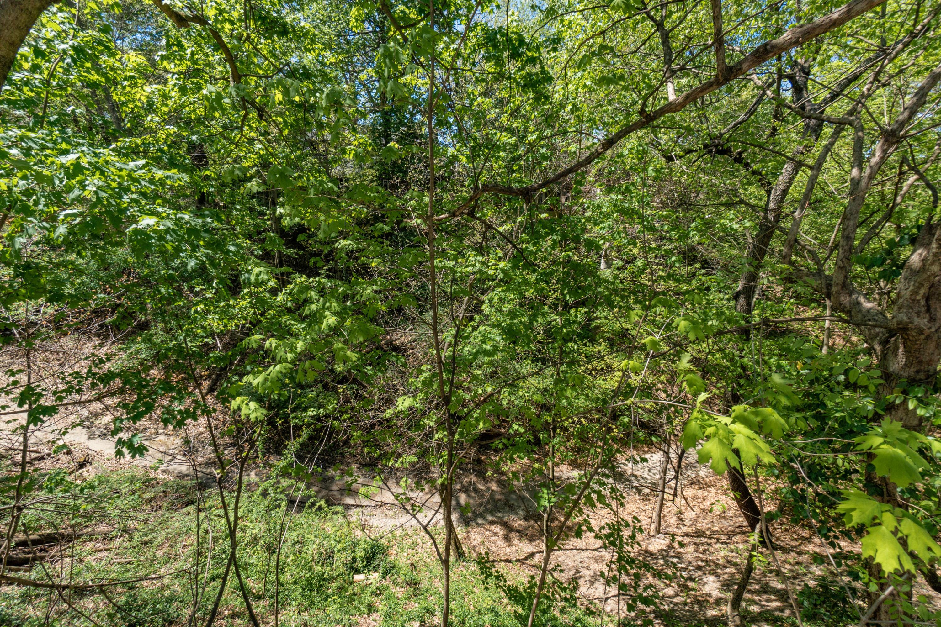 Columbus, Ohio, 43202, United States, 5 Bedrooms Bedrooms, ,4 BathroomsBathrooms,Residential,For Sale,1988321