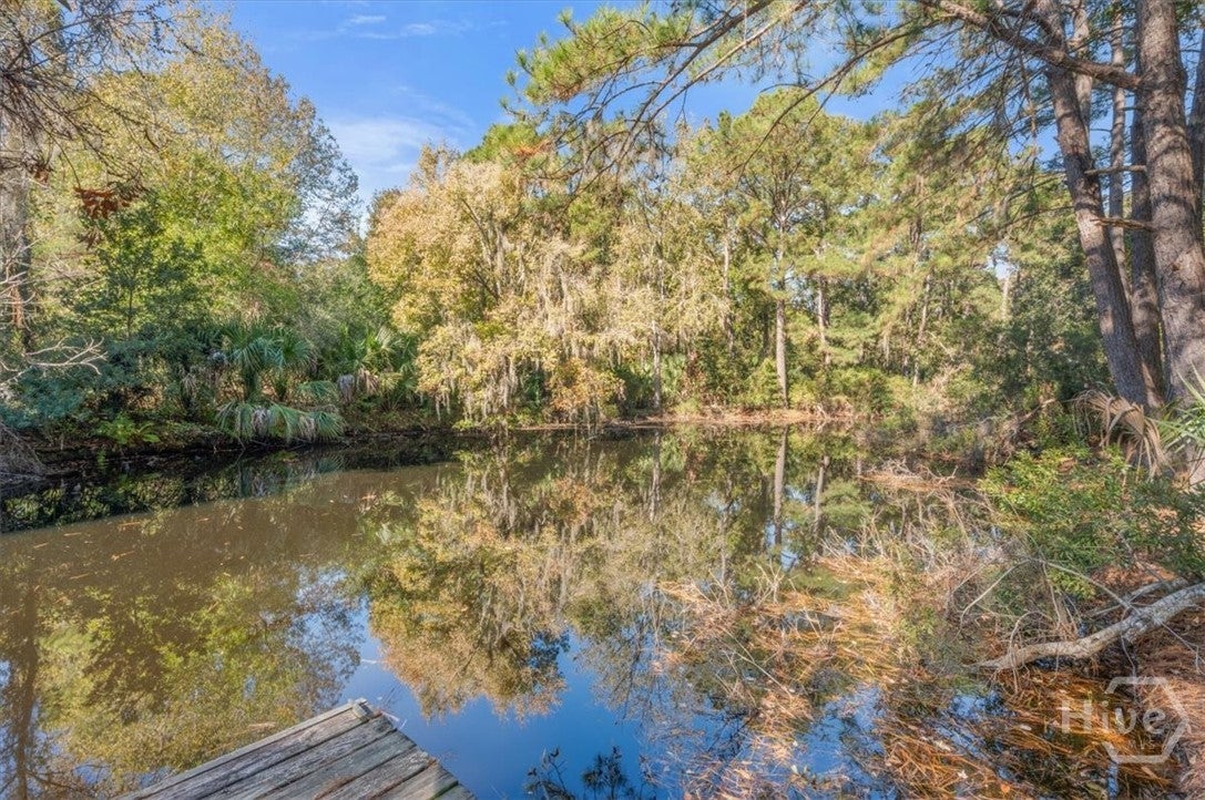 Richmond Hill, Georgia, 31324, United States, 5 Bedrooms Bedrooms, ,4 BathroomsBathrooms,Residential,For Sale,1994368