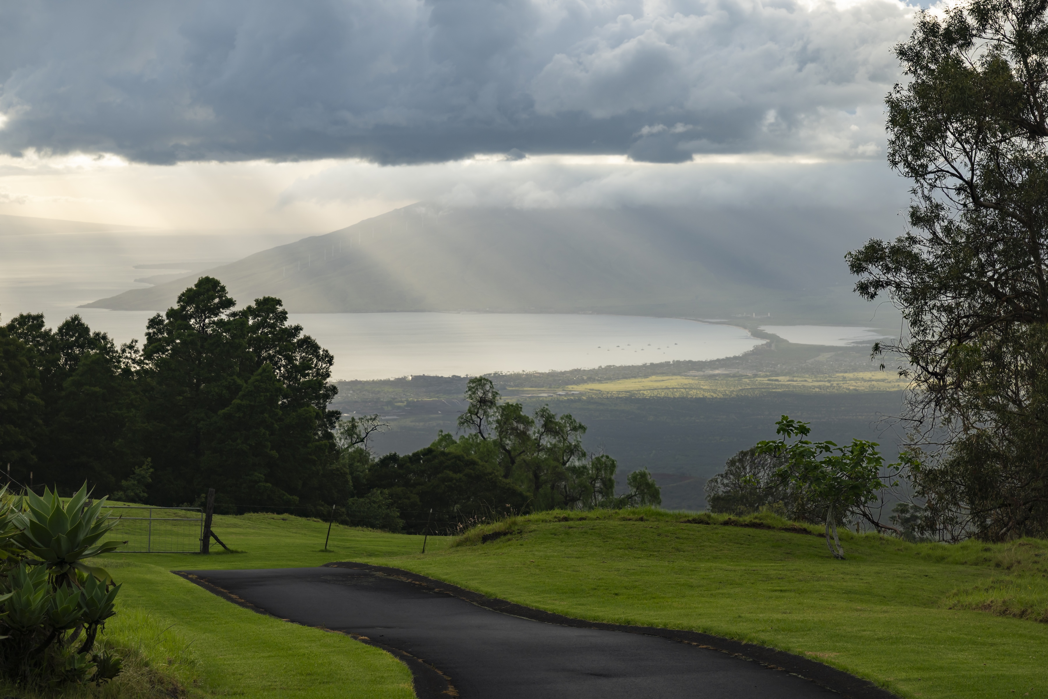  Private Kula estate on expansive acreage with panoramic Maui views - 物件實景