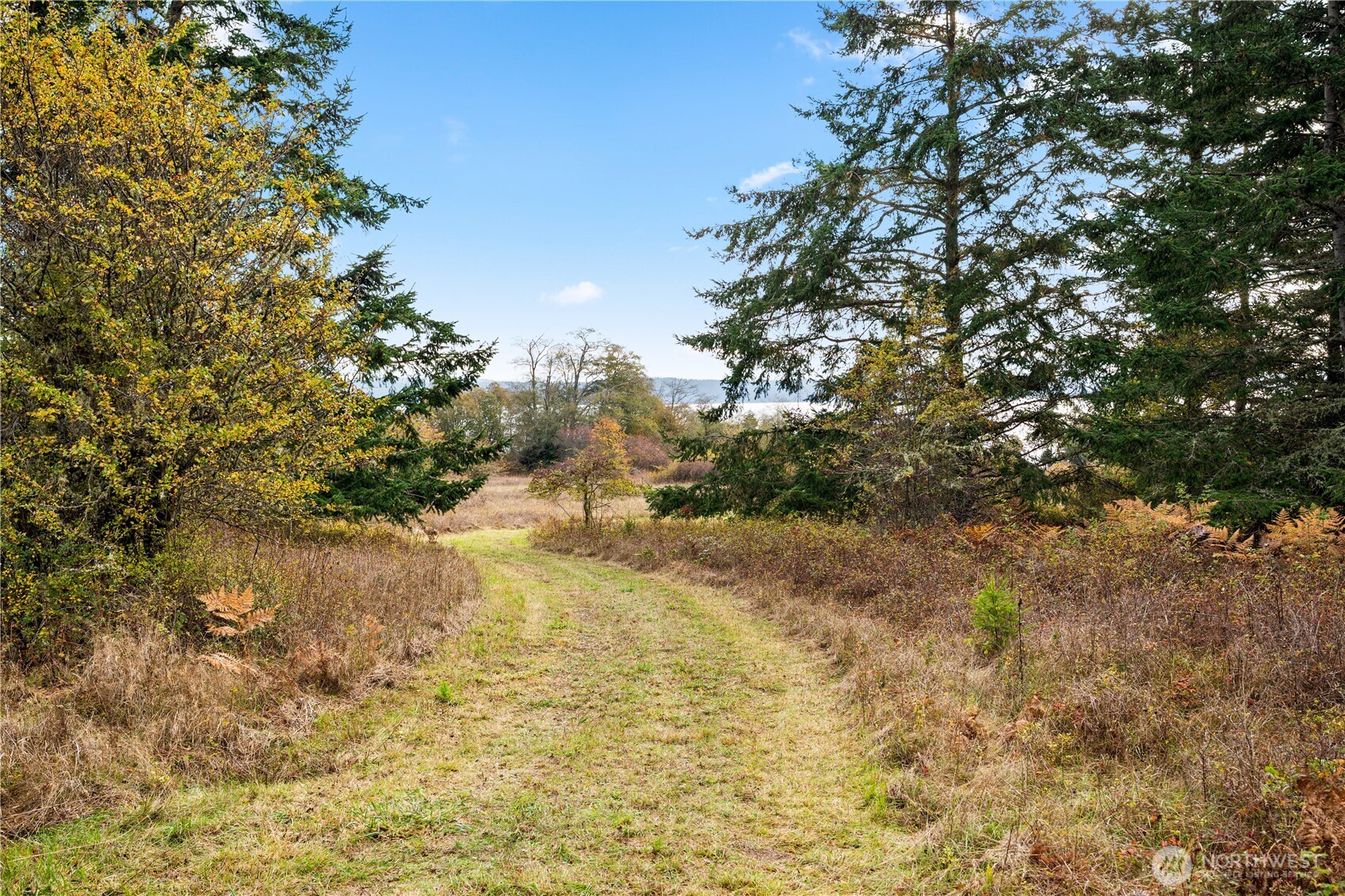 Friday Harbor, Washington, 98250, United States, ,Land,For Sale,1991931