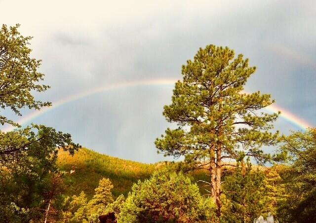 Pine, Arizona, 85544, United States, 2 Bedrooms Bedrooms, ,2 BathroomsBathrooms,Residential,For Sale,1917877