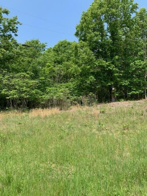 Holland, Michigan, 49423, United States, ,Land,For Sale,1984498