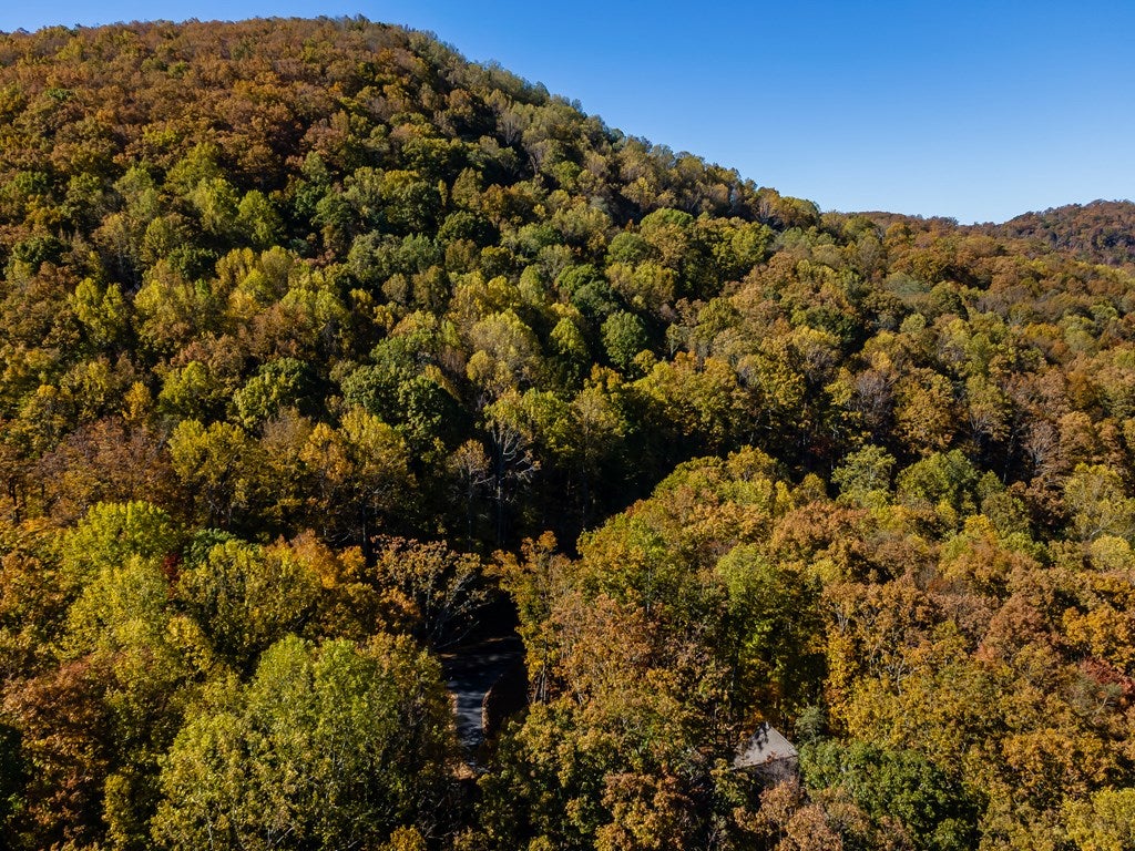 Ellijay, Georgia, 30536, United States, 3 Bedrooms Bedrooms, ,2 BathroomsBathrooms,Residential,For Sale,1987924