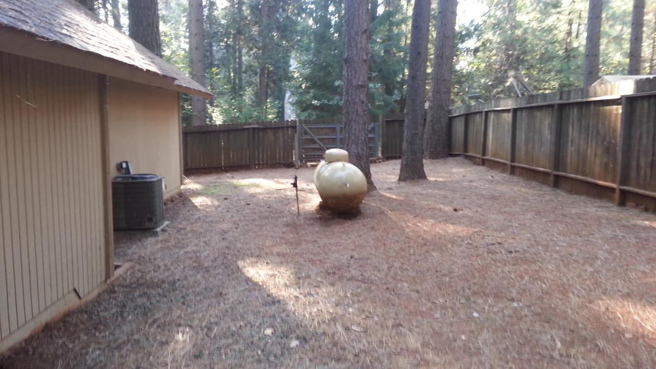 Foresthill, California, 95631, United States, ,Residential,For Sale,1924661