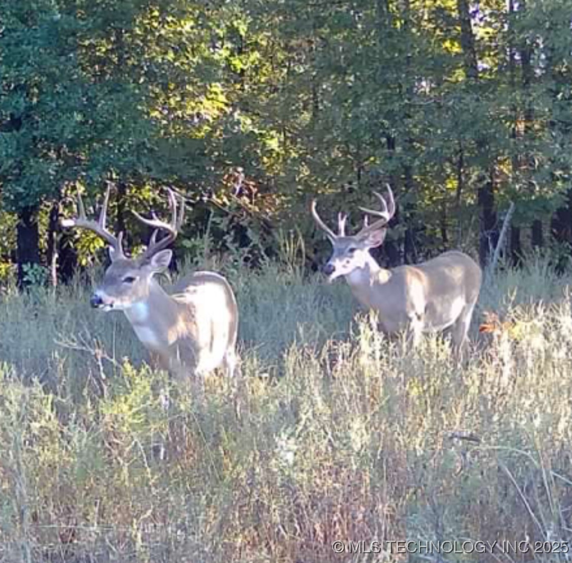 Haskell, Oklahoma, 74436, United States, ,Residential,For Sale,1989173