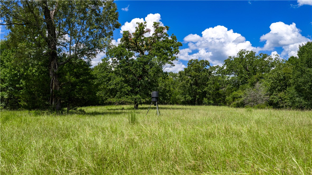 Midway, Texas, 75852, United States, 1 Bedroom Bedrooms, ,1 BathroomBathrooms,Residential,For Sale,1957289