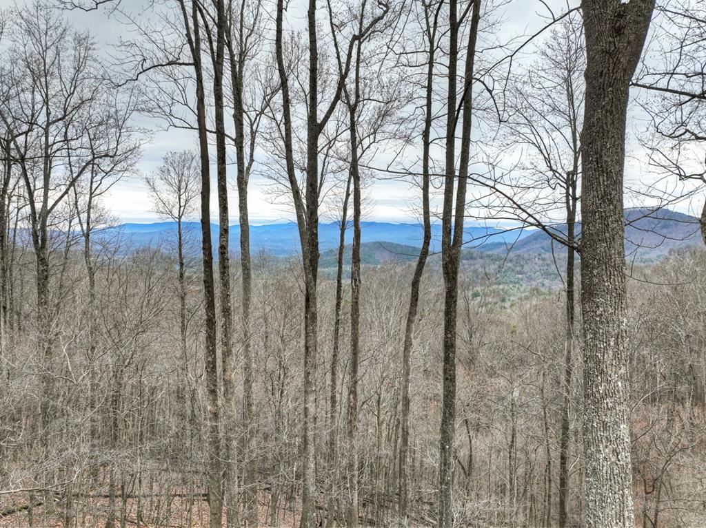 Ellijay, Georgia, 30536, United States, 4 Bedrooms Bedrooms, ,3 BathroomsBathrooms,Residential,For Sale,2003227