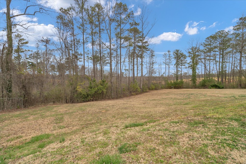 Carrollton, Georgia, 30116, United States, 4 Bedrooms Bedrooms, ,3 BathroomsBathrooms,Residential,For Sale,1981522