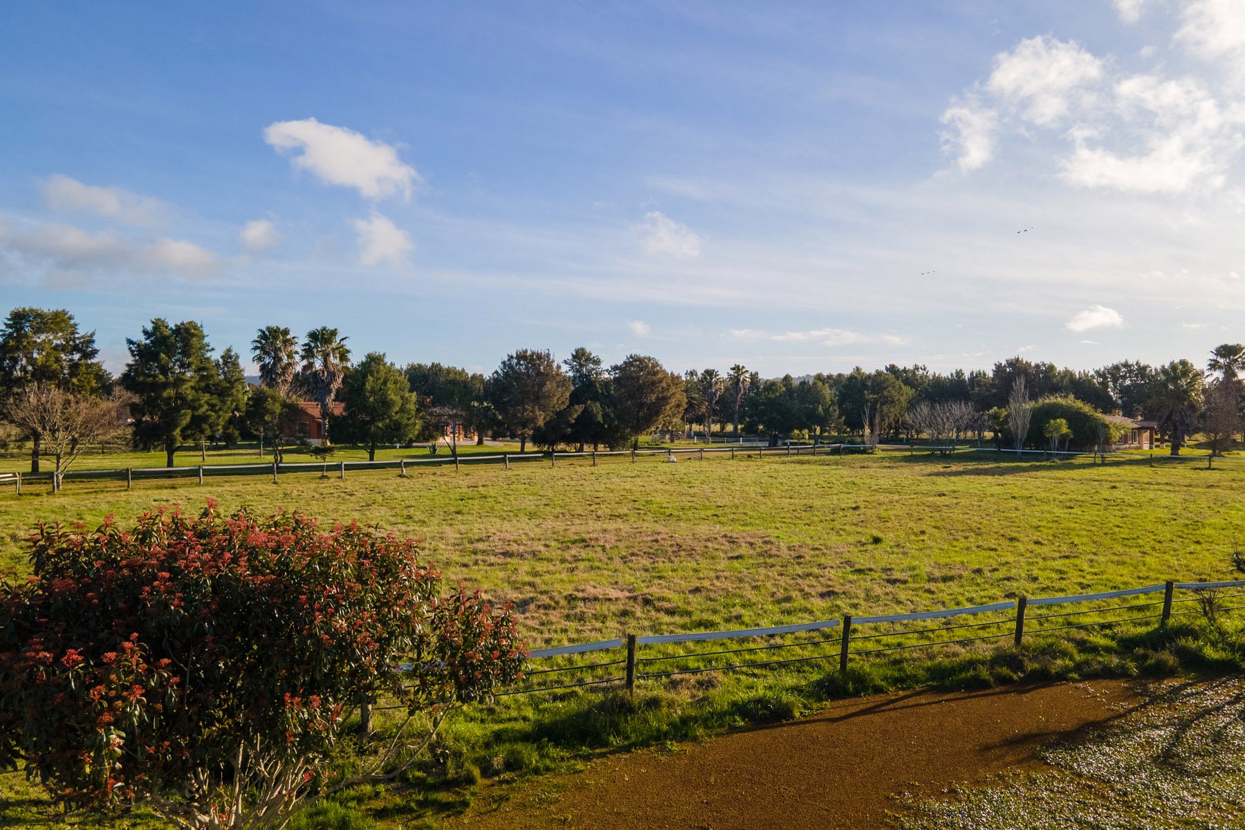  NAHUEL Stud Farm - 物件實景