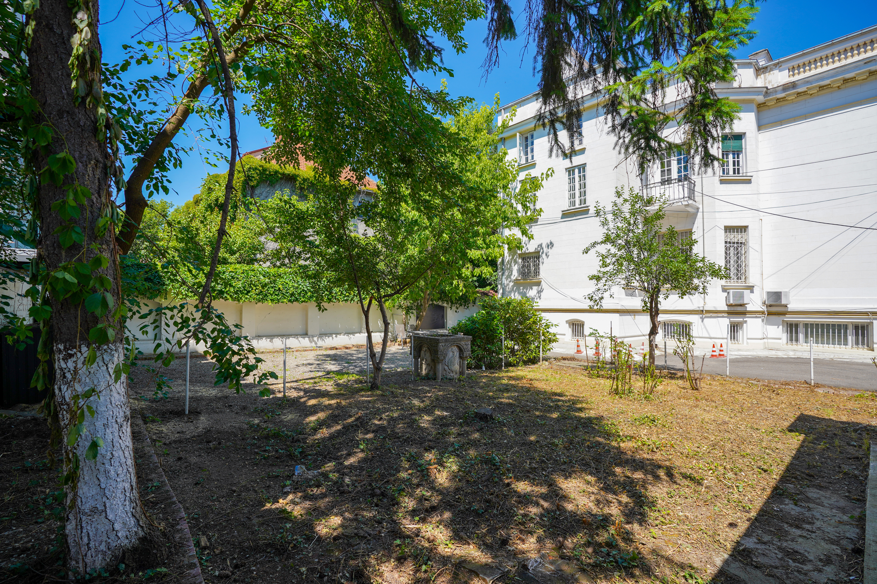  A Collector’s Residence on Kiseleff – The Architectural Legacy of Burcu & Marcu - 物件實景