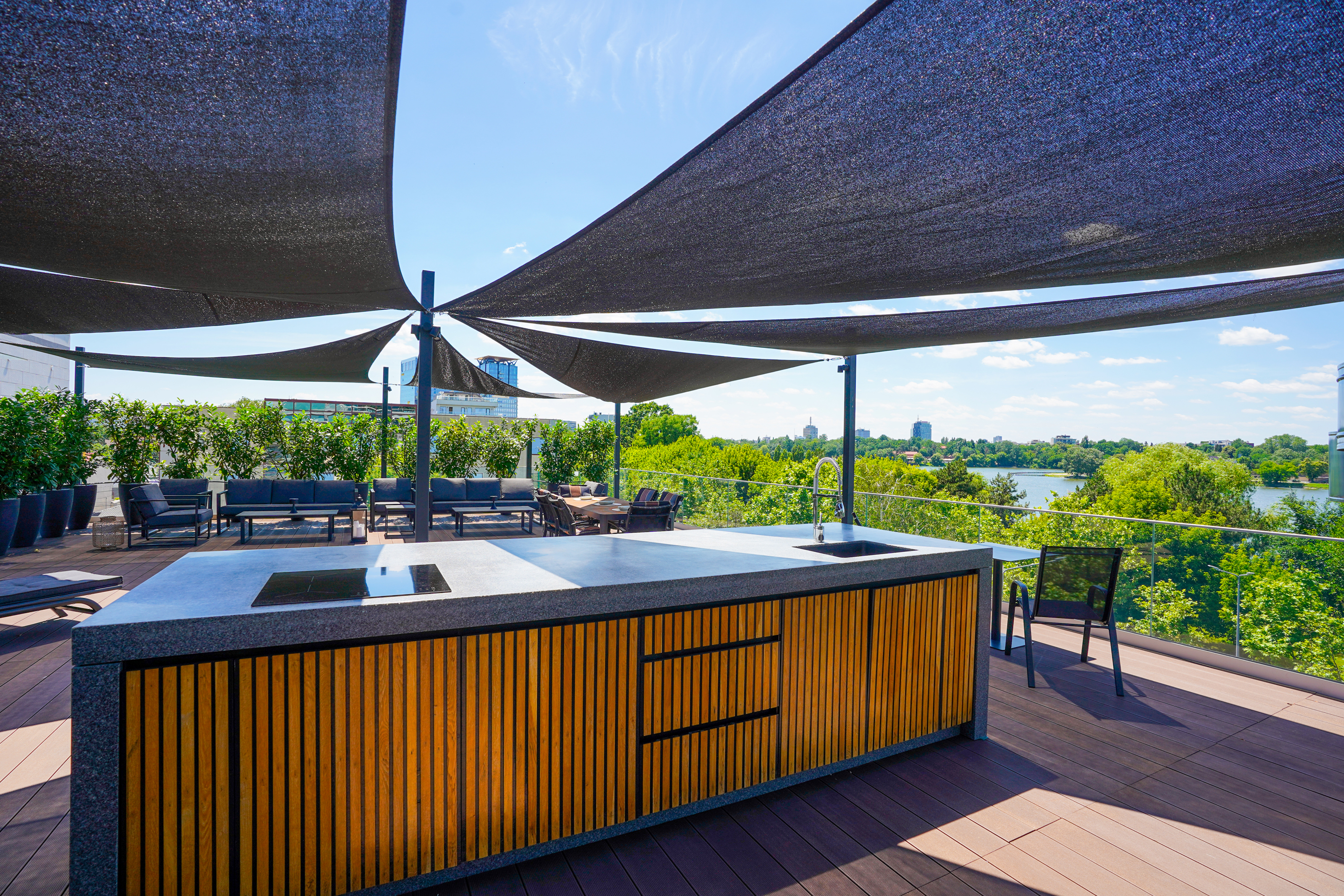  Rare Villa Overlooking Lake Floreasca - 物件實景