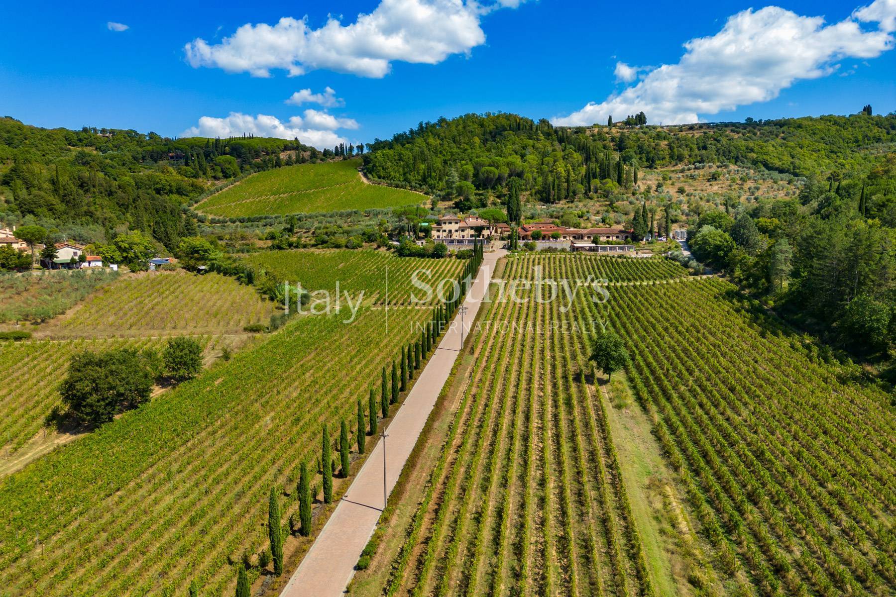  Wine estate with SPA and restaurant facilities - 物件實景