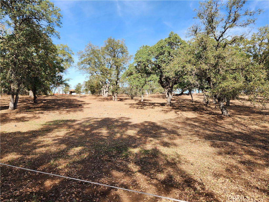 Oroville, California, 95966, United States, 4 Bedrooms Bedrooms, ,2 BathroomsBathrooms,Residential,For Sale,1887256